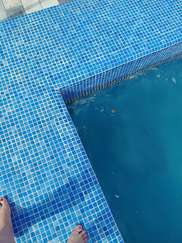 U oyoqlari orasiga jinsiy olatni siqib qoydi