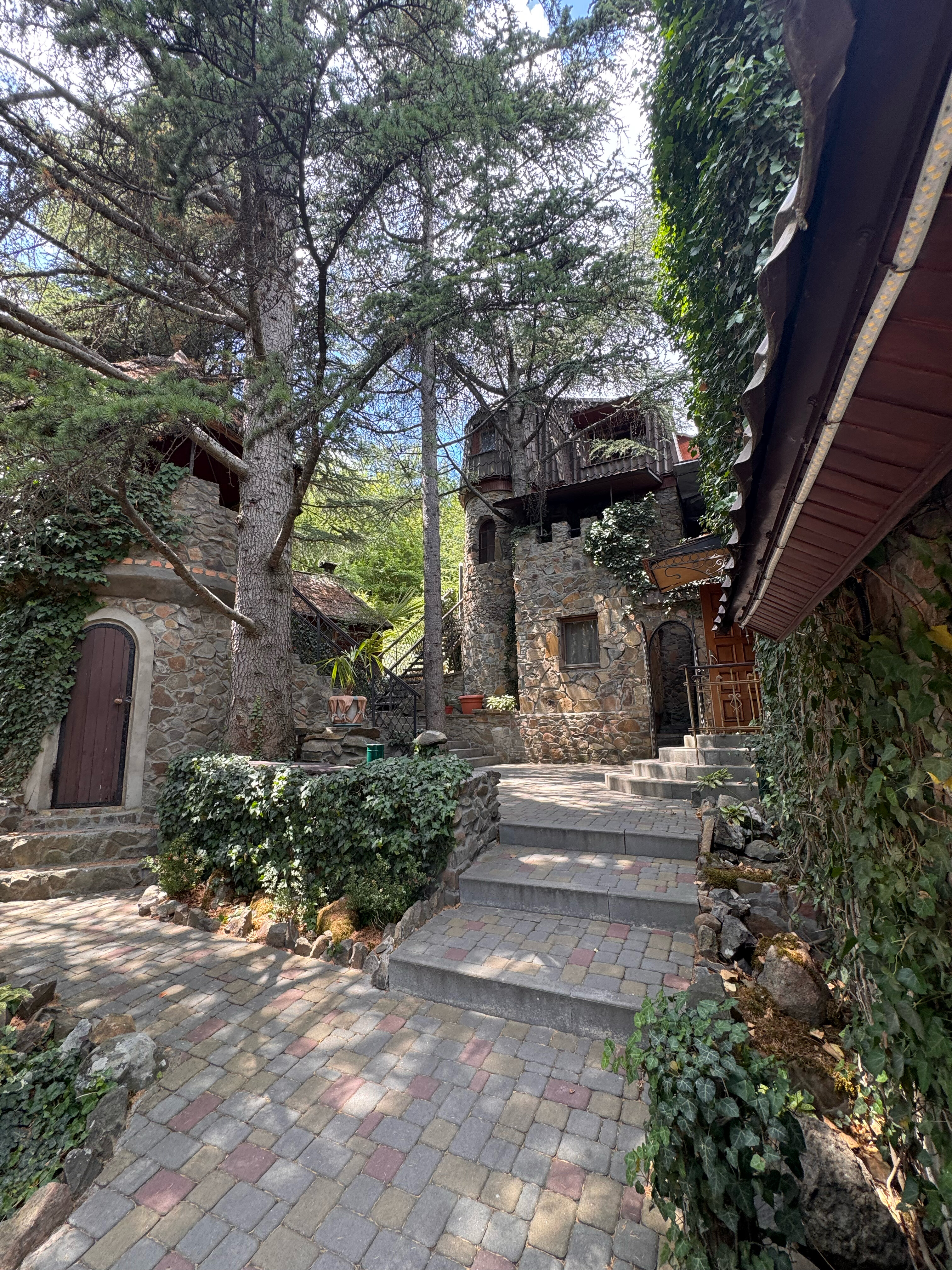 Фото Лесной