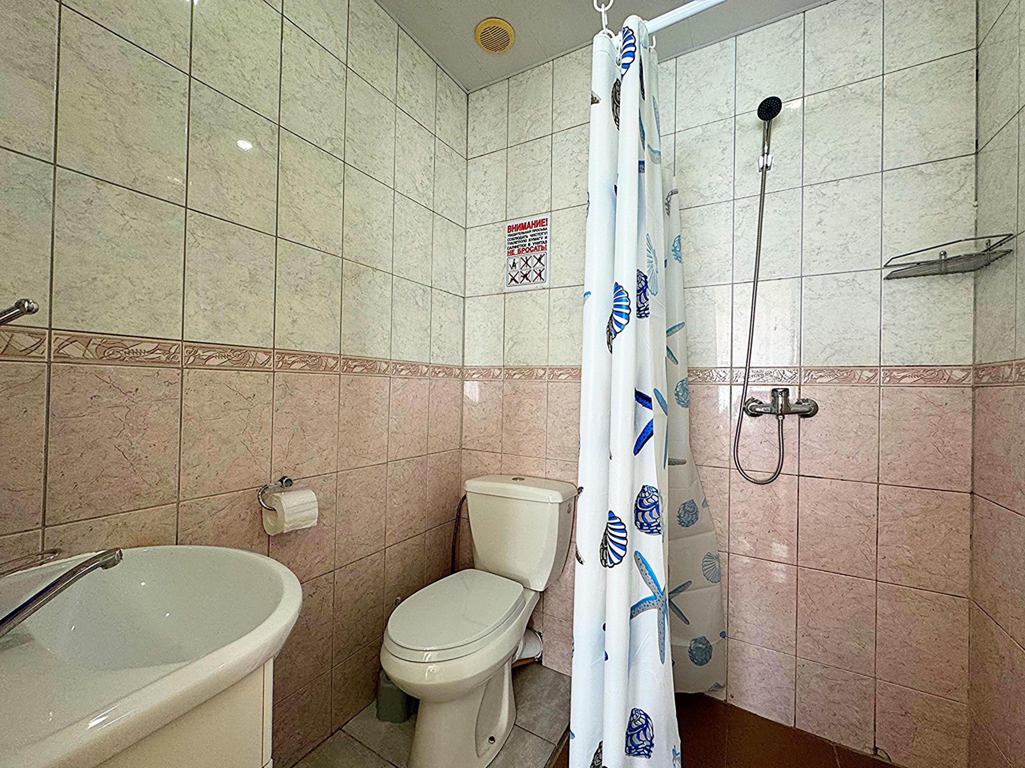 Фото Вистерия