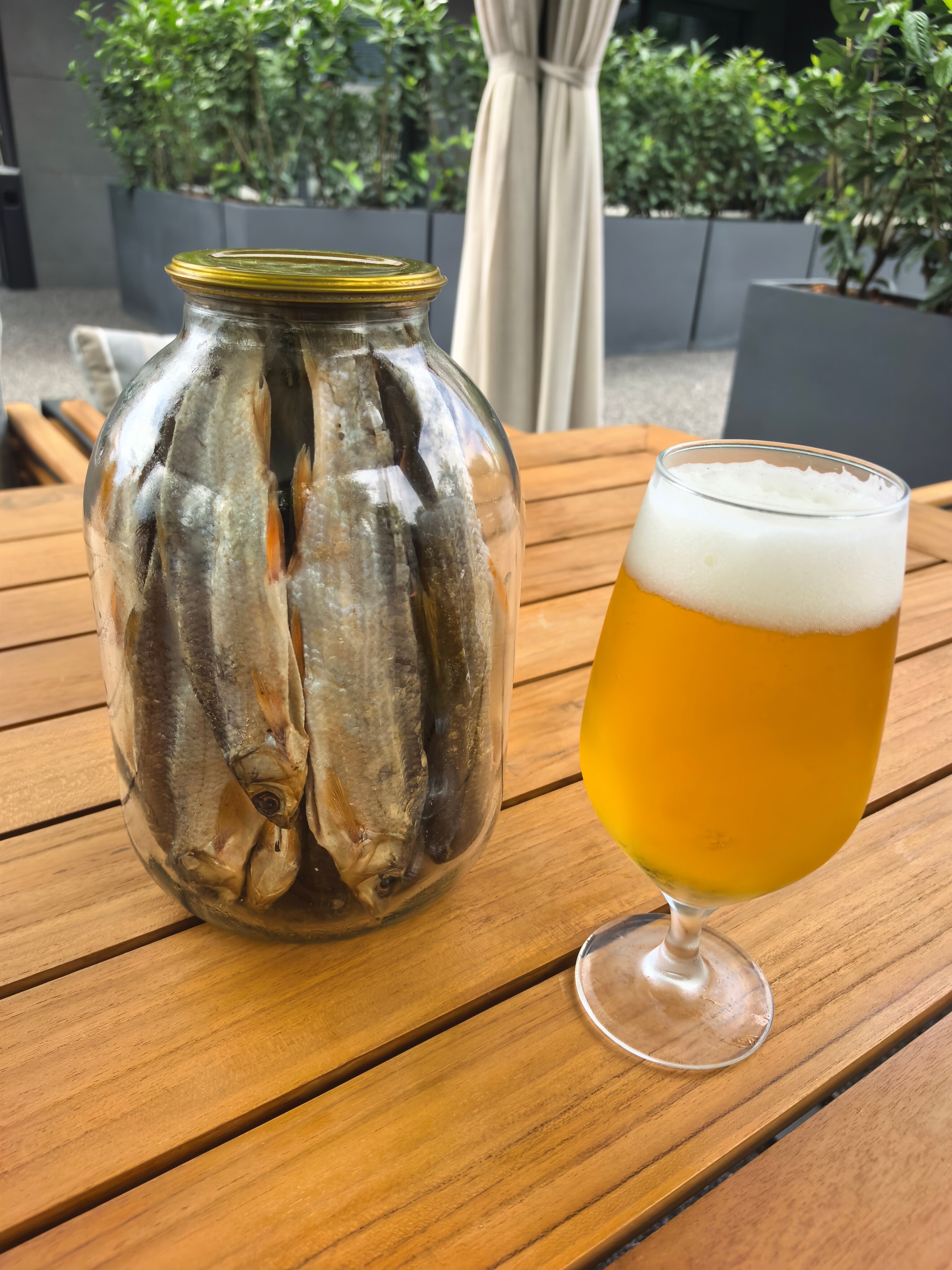 Фото Мондриан