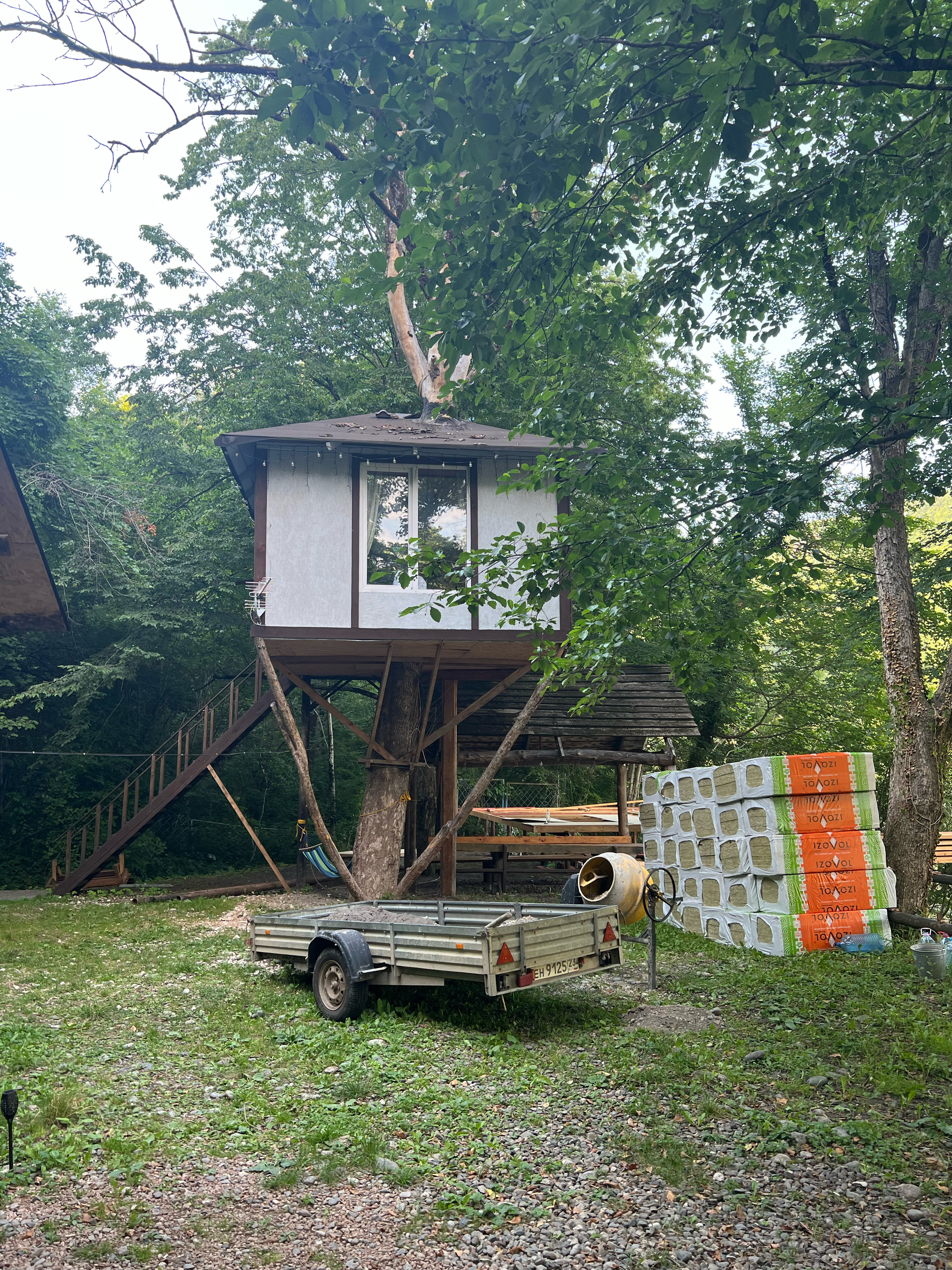 Фото Кактус Арт