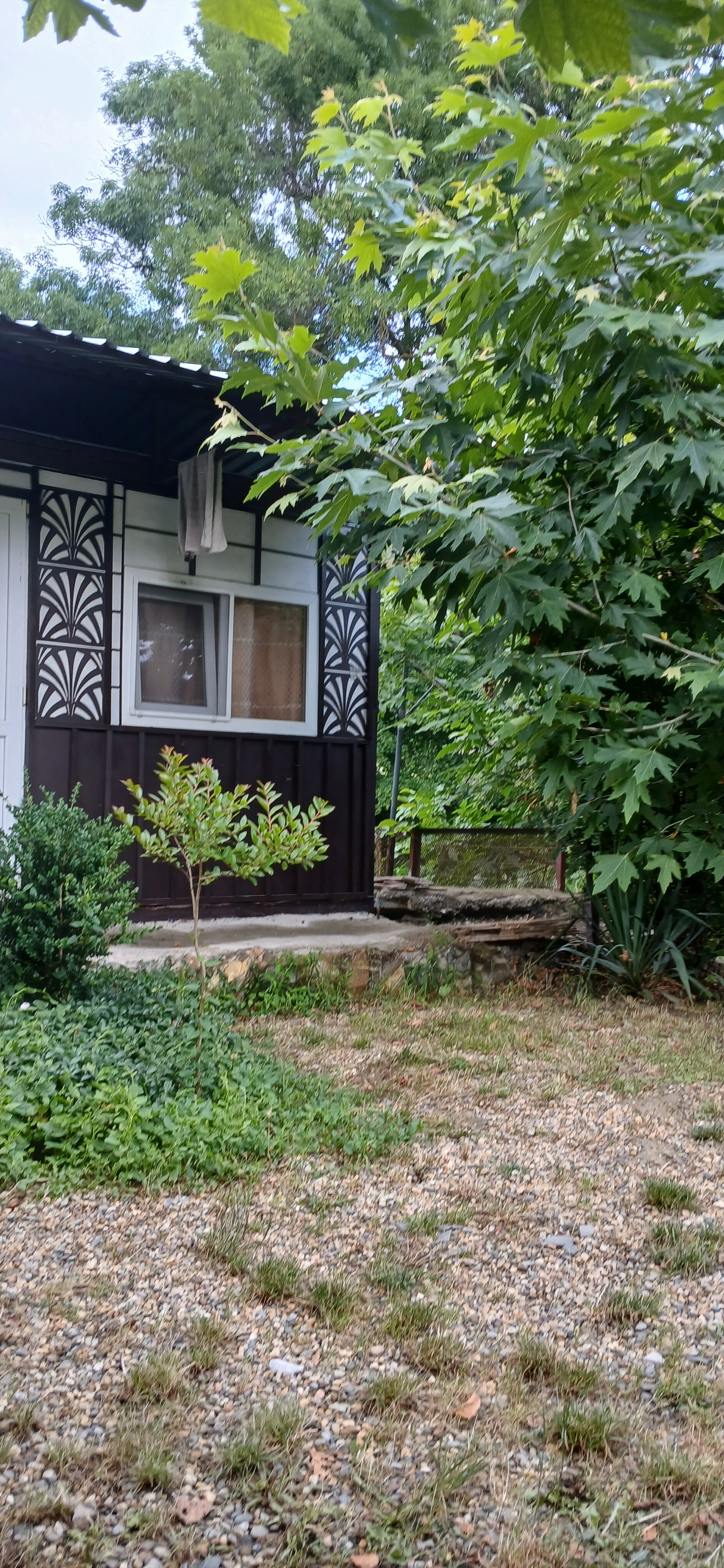 Фото Светлана