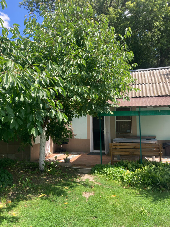 Фото Фазенда