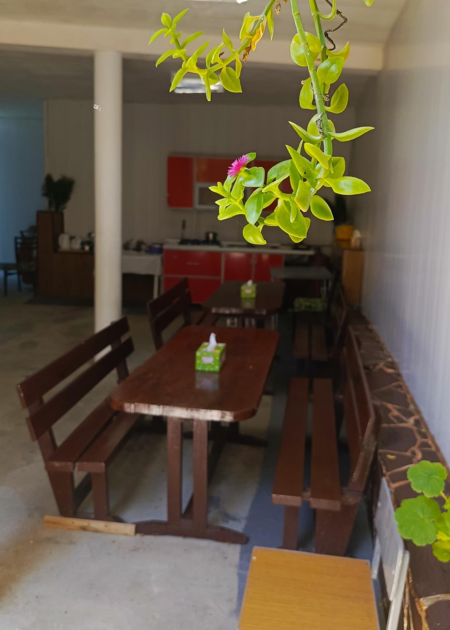 Фото Под пальмой