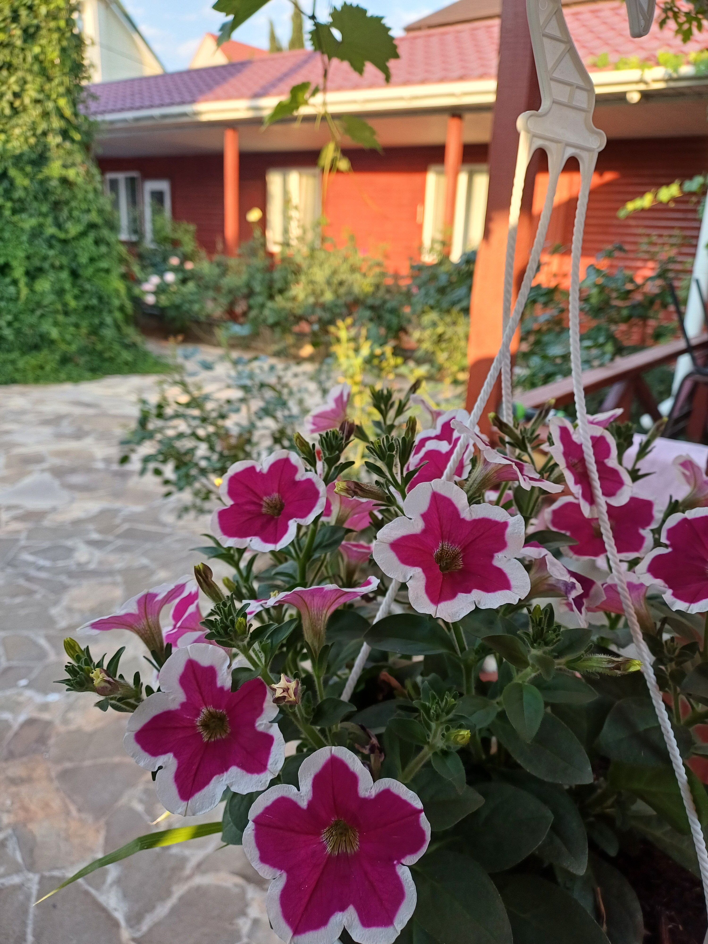 Фото Лето на Заречной