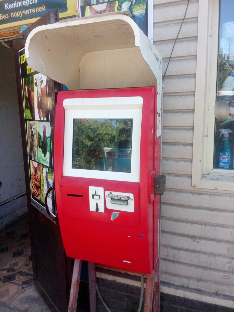 Payment terminal Qiwi, Chimkent, photo