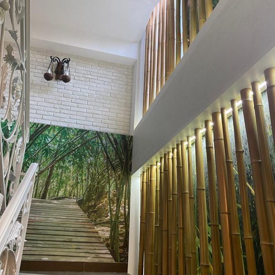 Фото 33 тюльпана