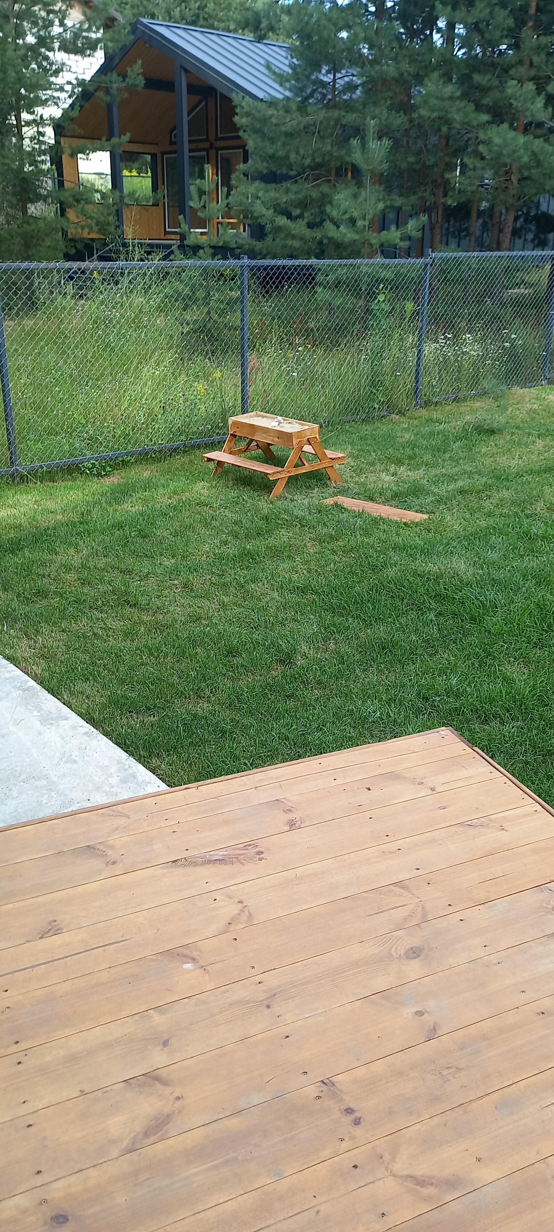 Фото Листья