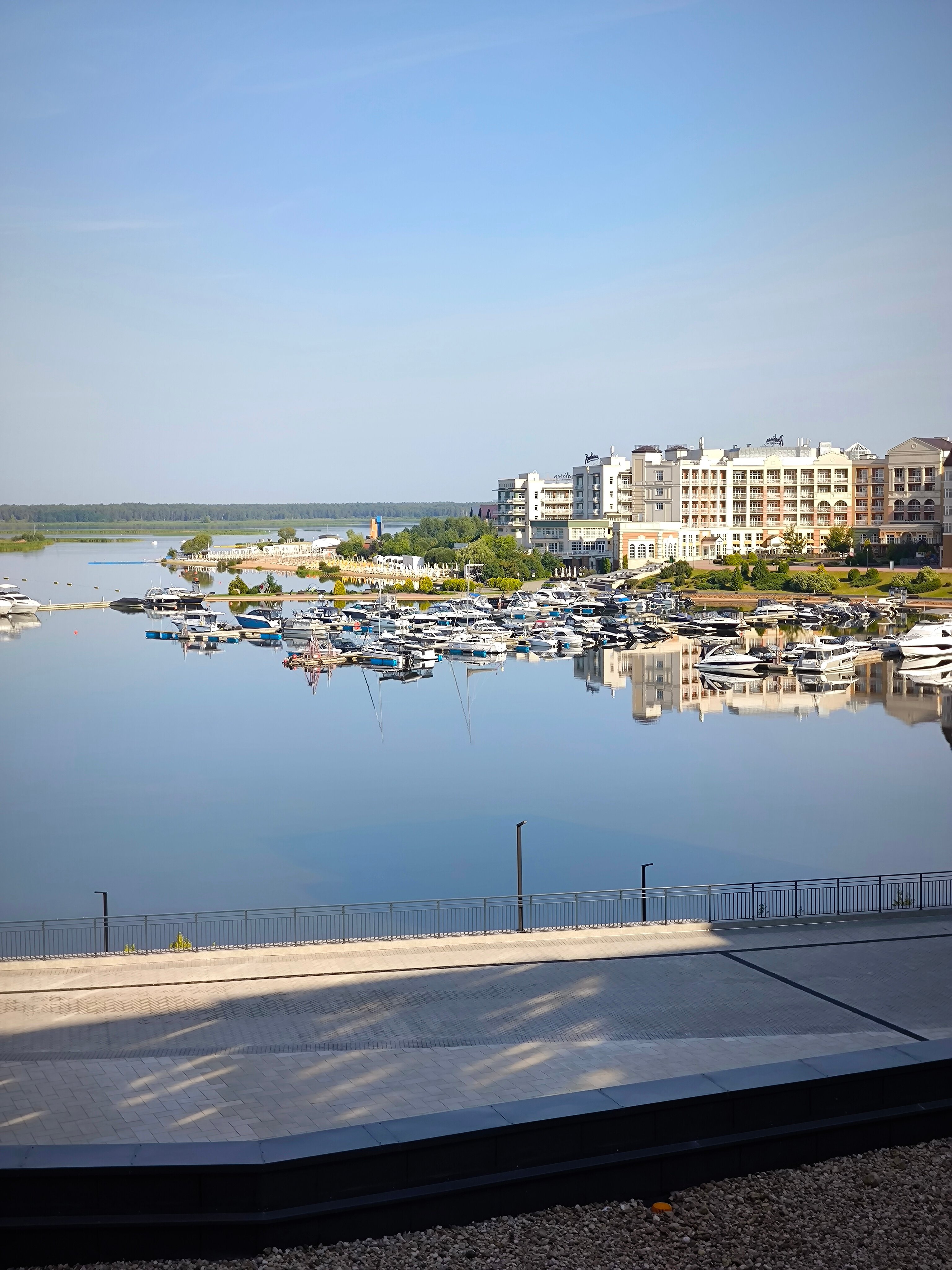 Фото Рябина от Васта