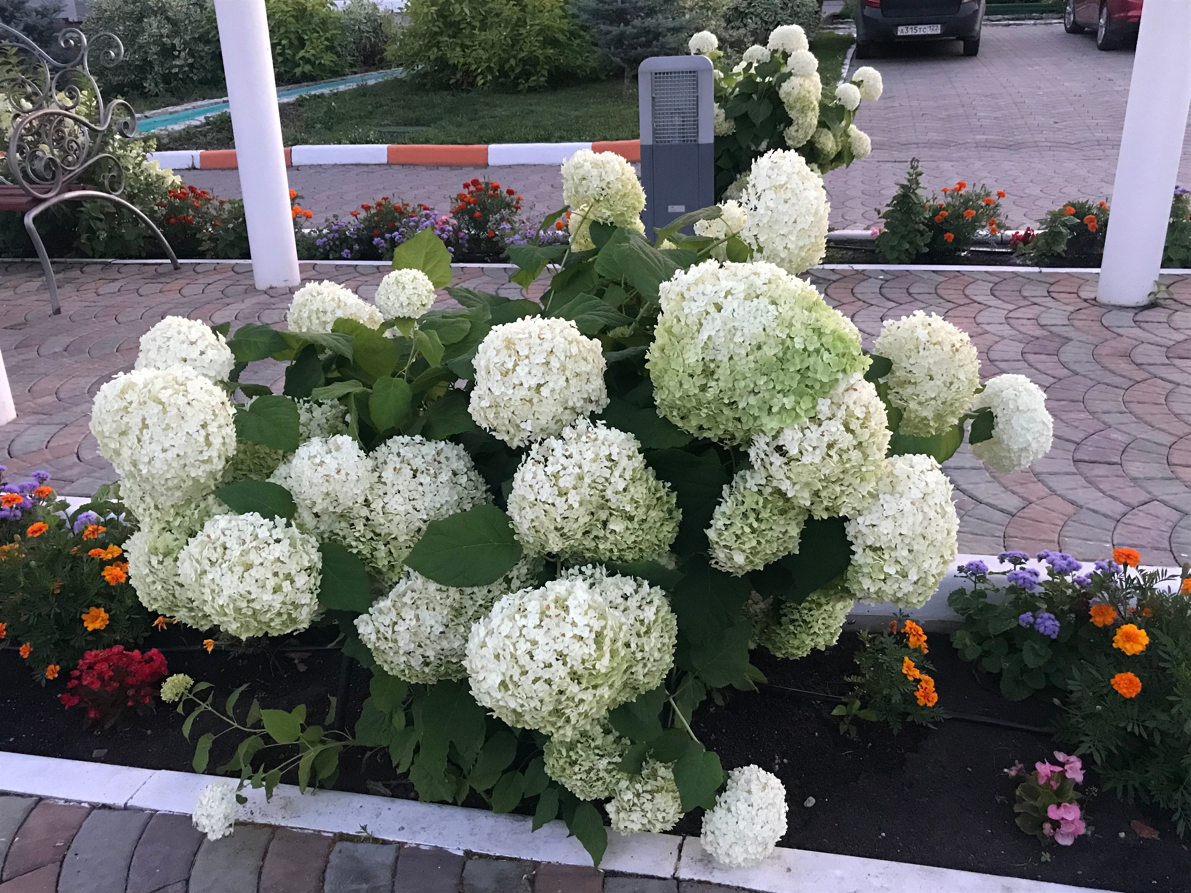 Фото Каменный ручей