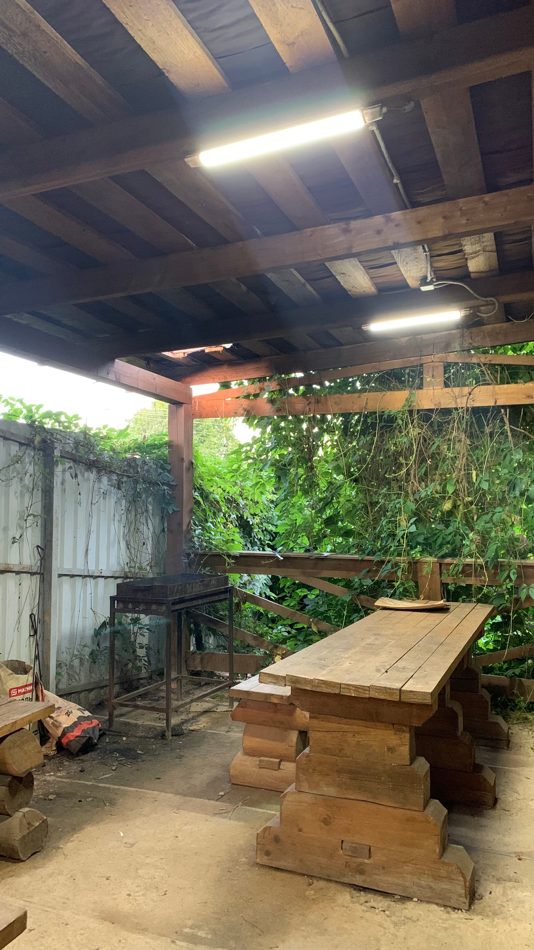 Фото Родник