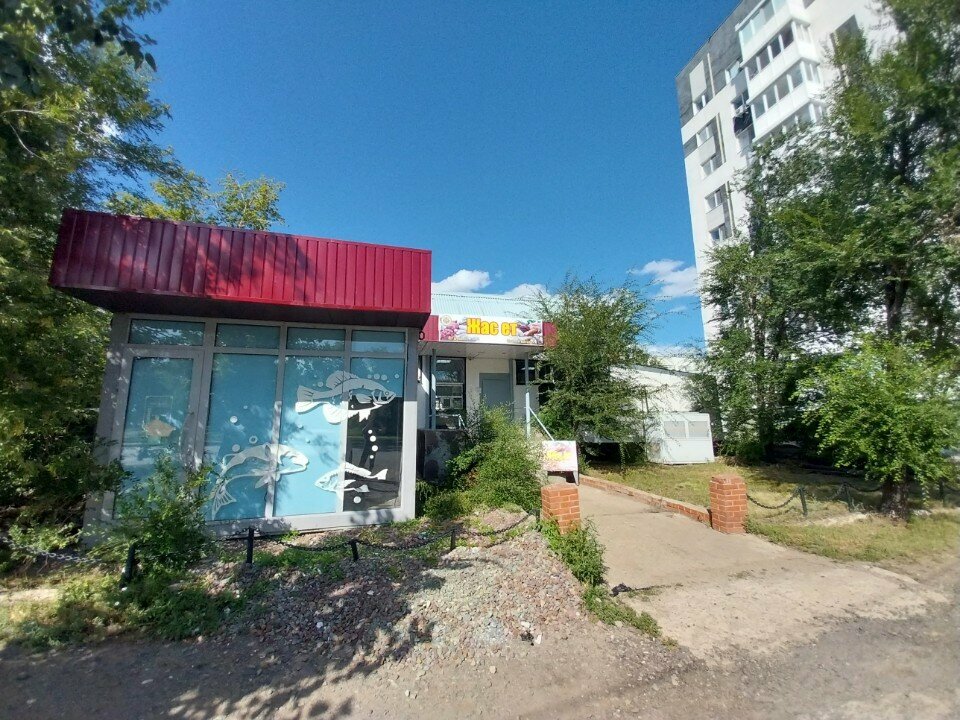 Meat products wholesale Zhas et, Astana, photo