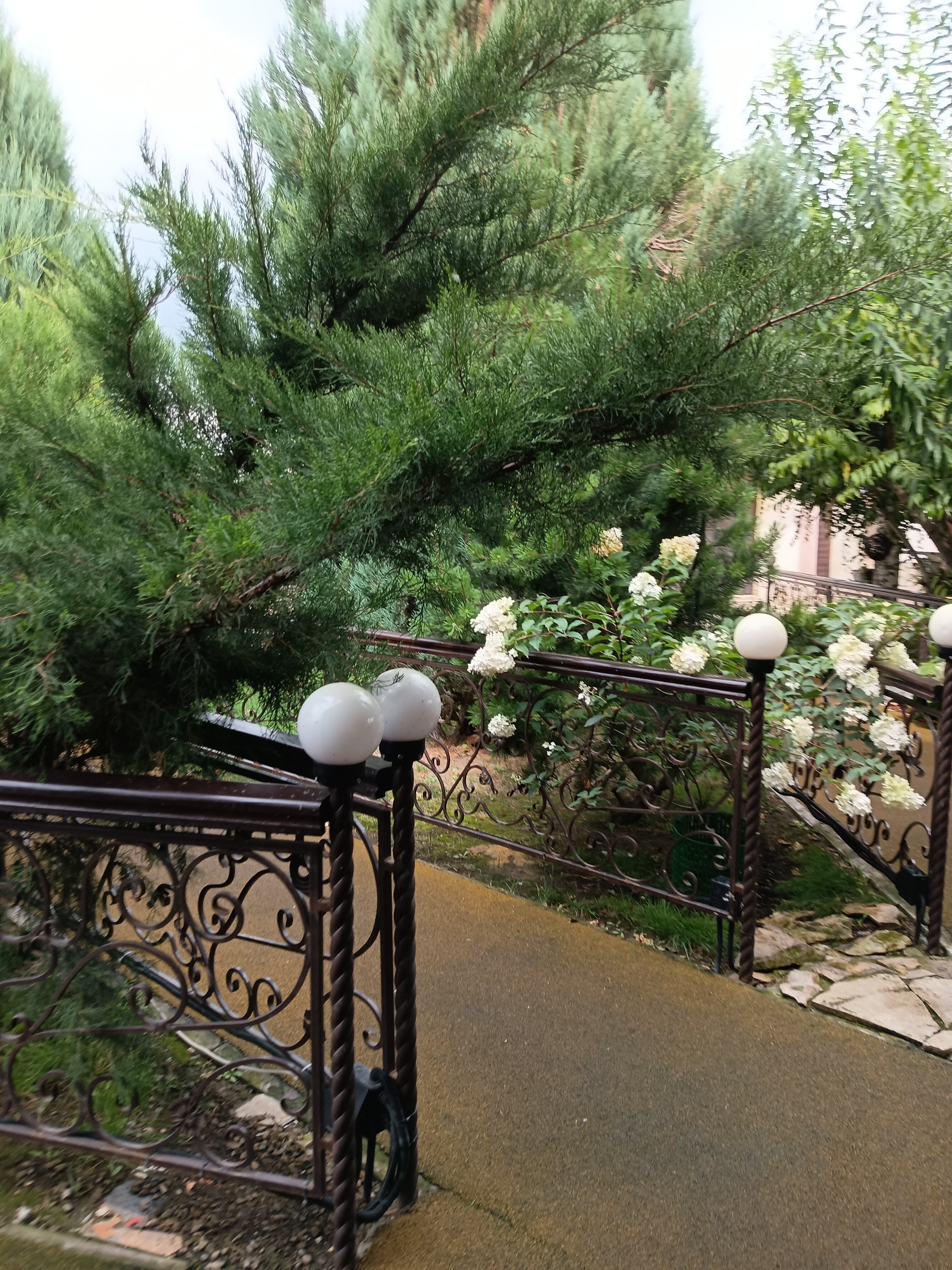 Фото Сказка