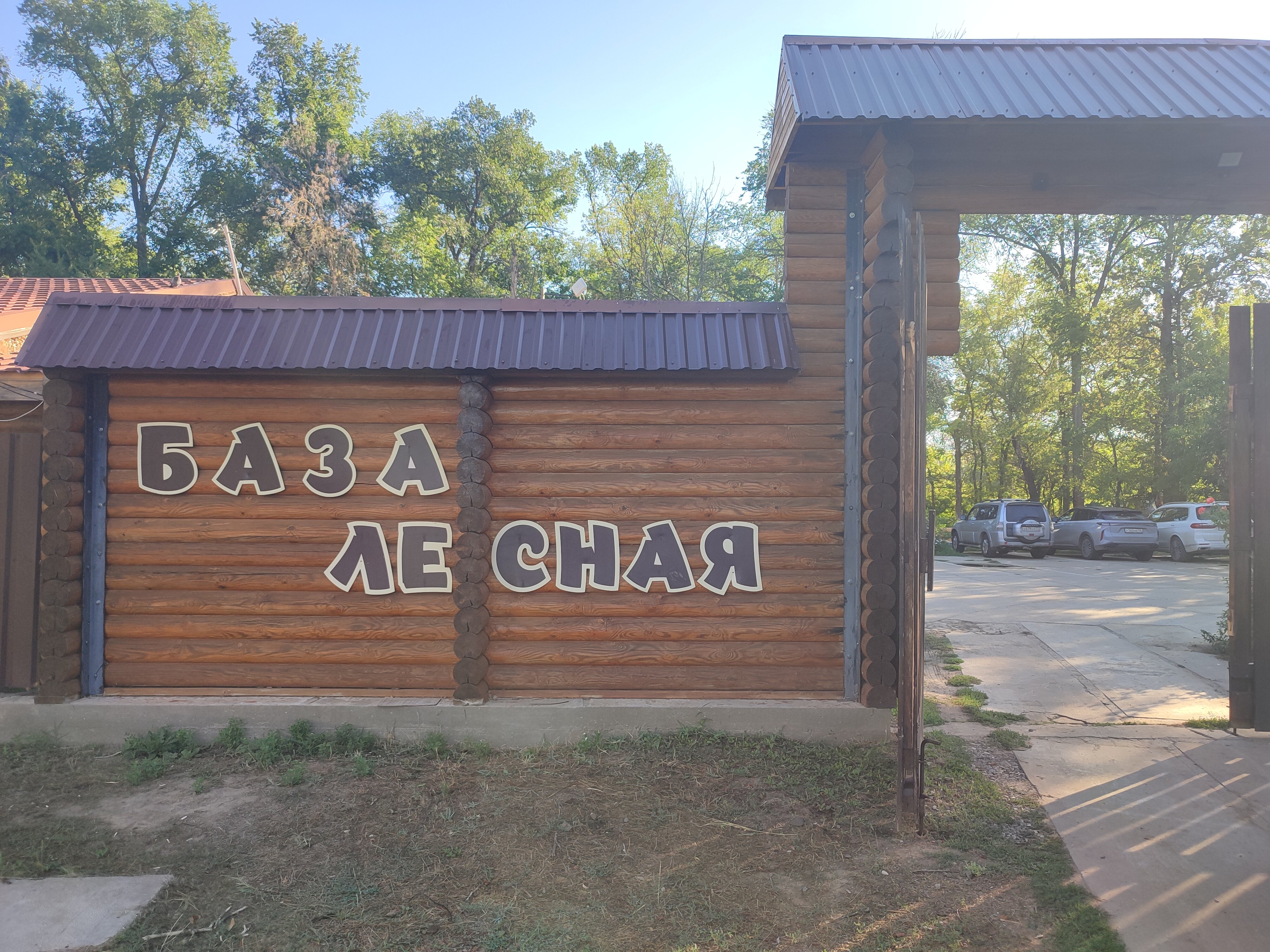 Фото Лесная