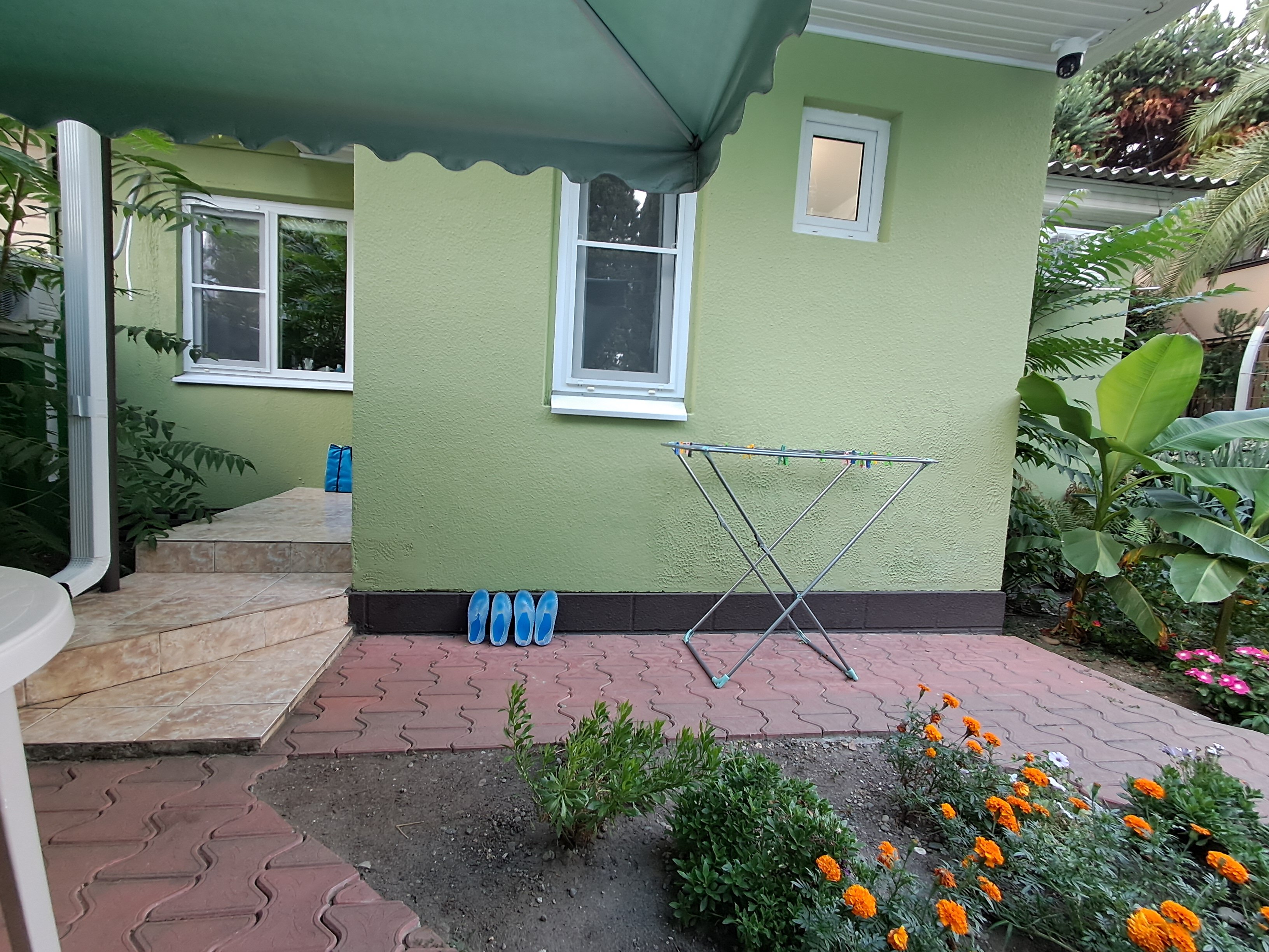 Фото Морель