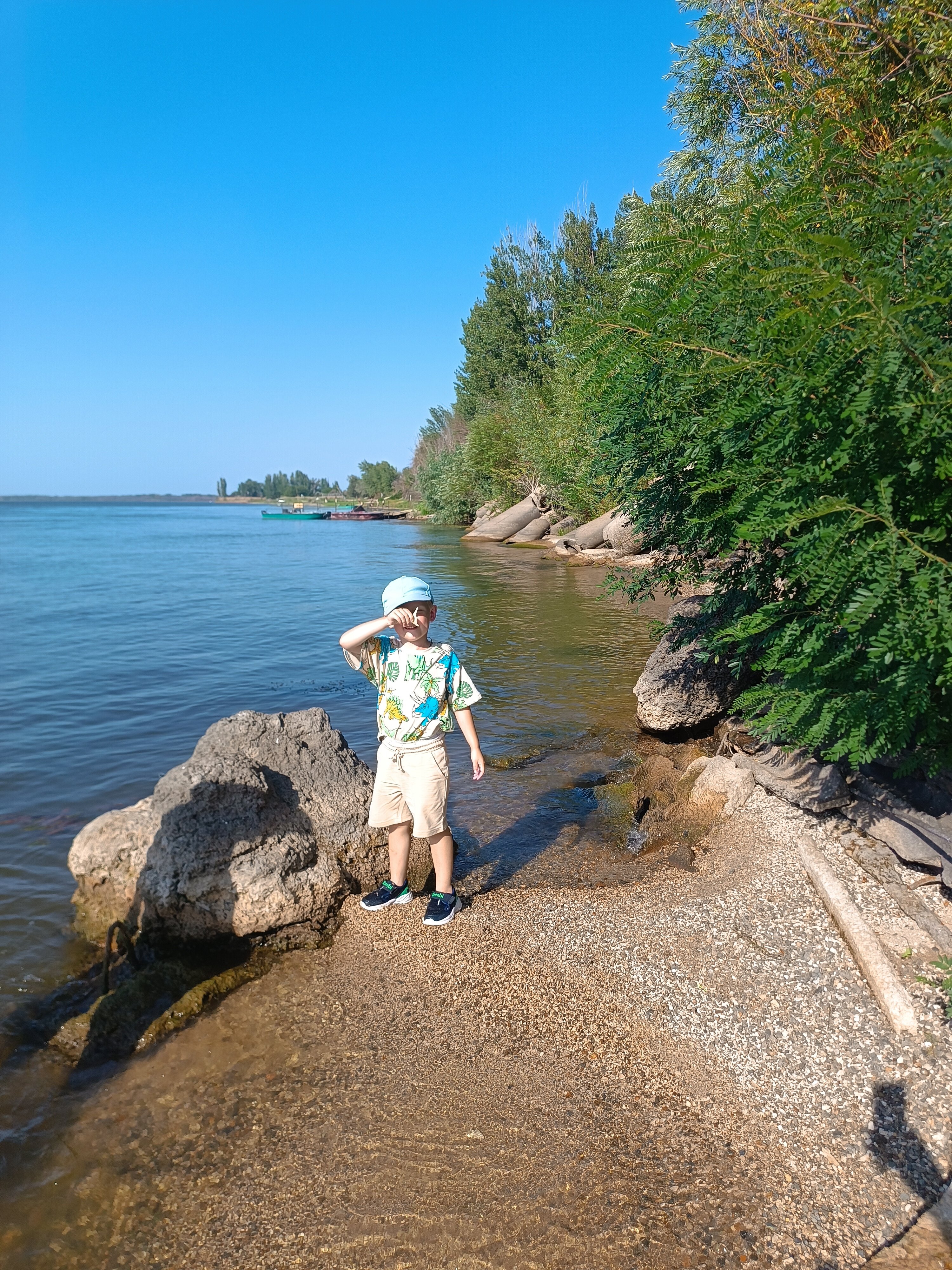 Фото Тополя