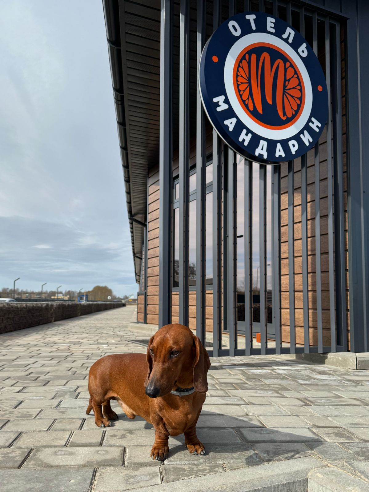 Фото Мандариновый остров