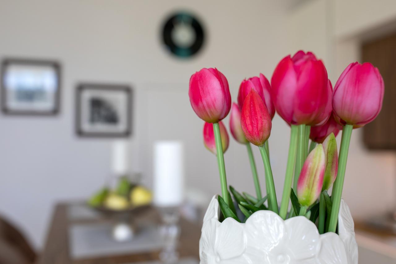 Фото Дони-парк