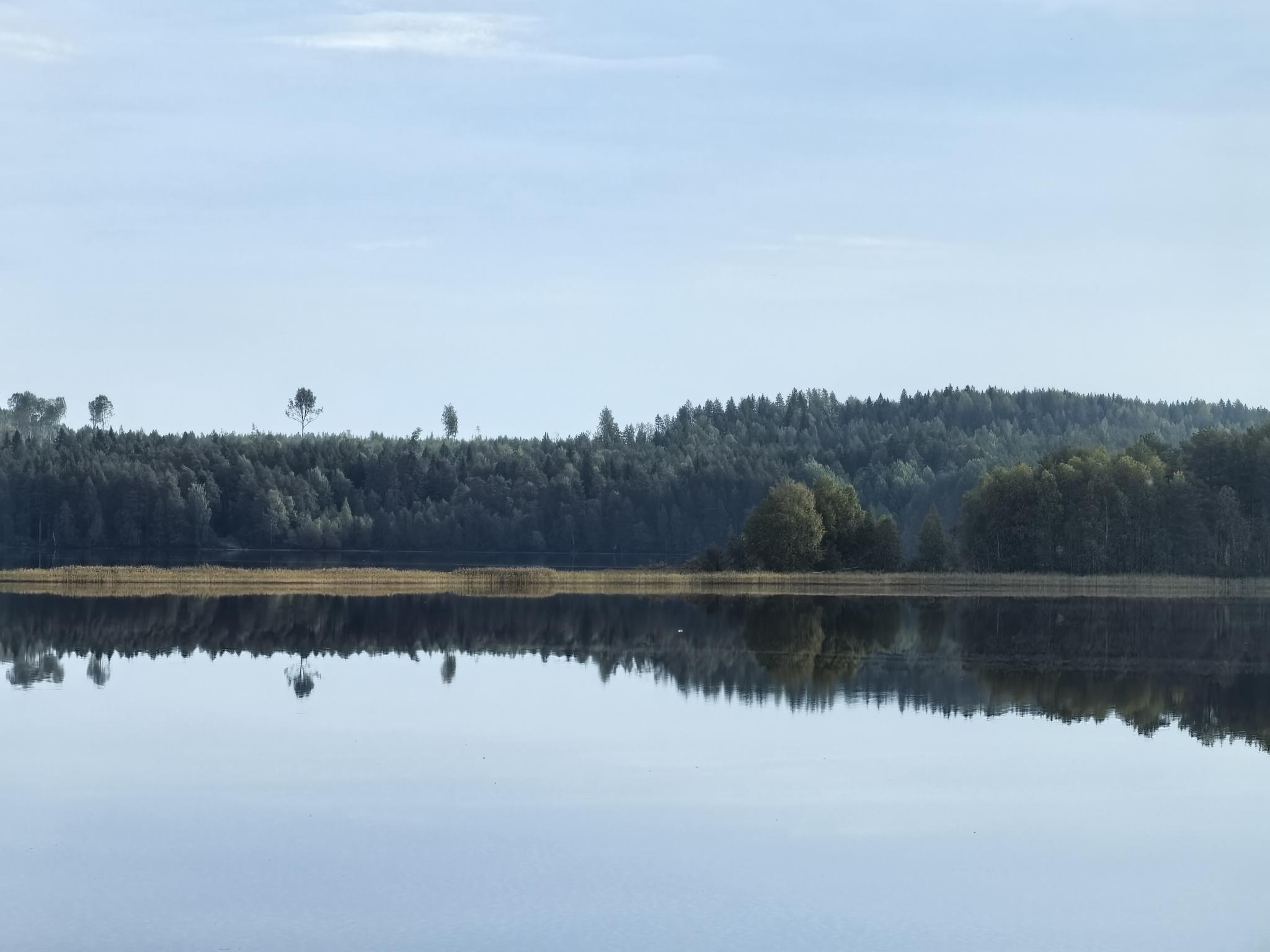 Фото Вегвизир