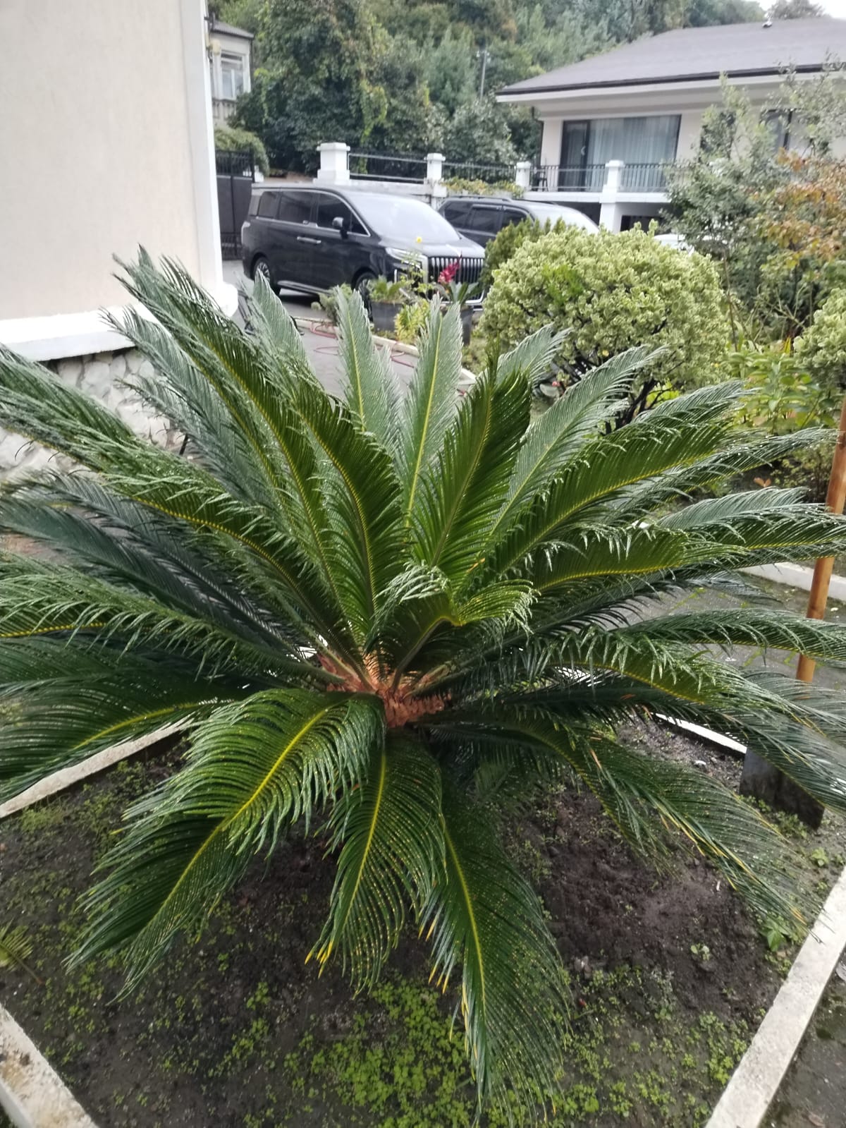 Фото Каракас