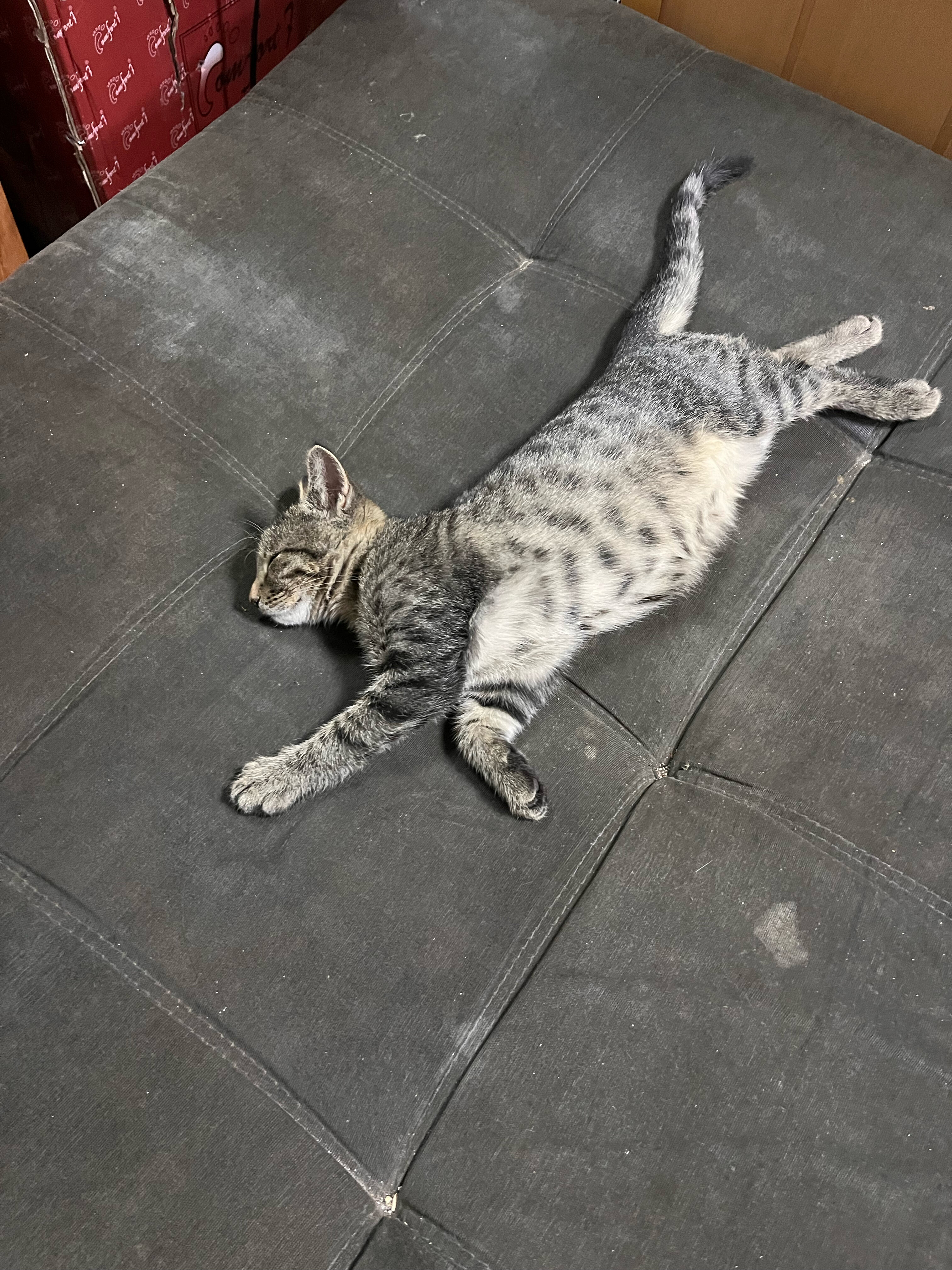 Фото Бежин луг