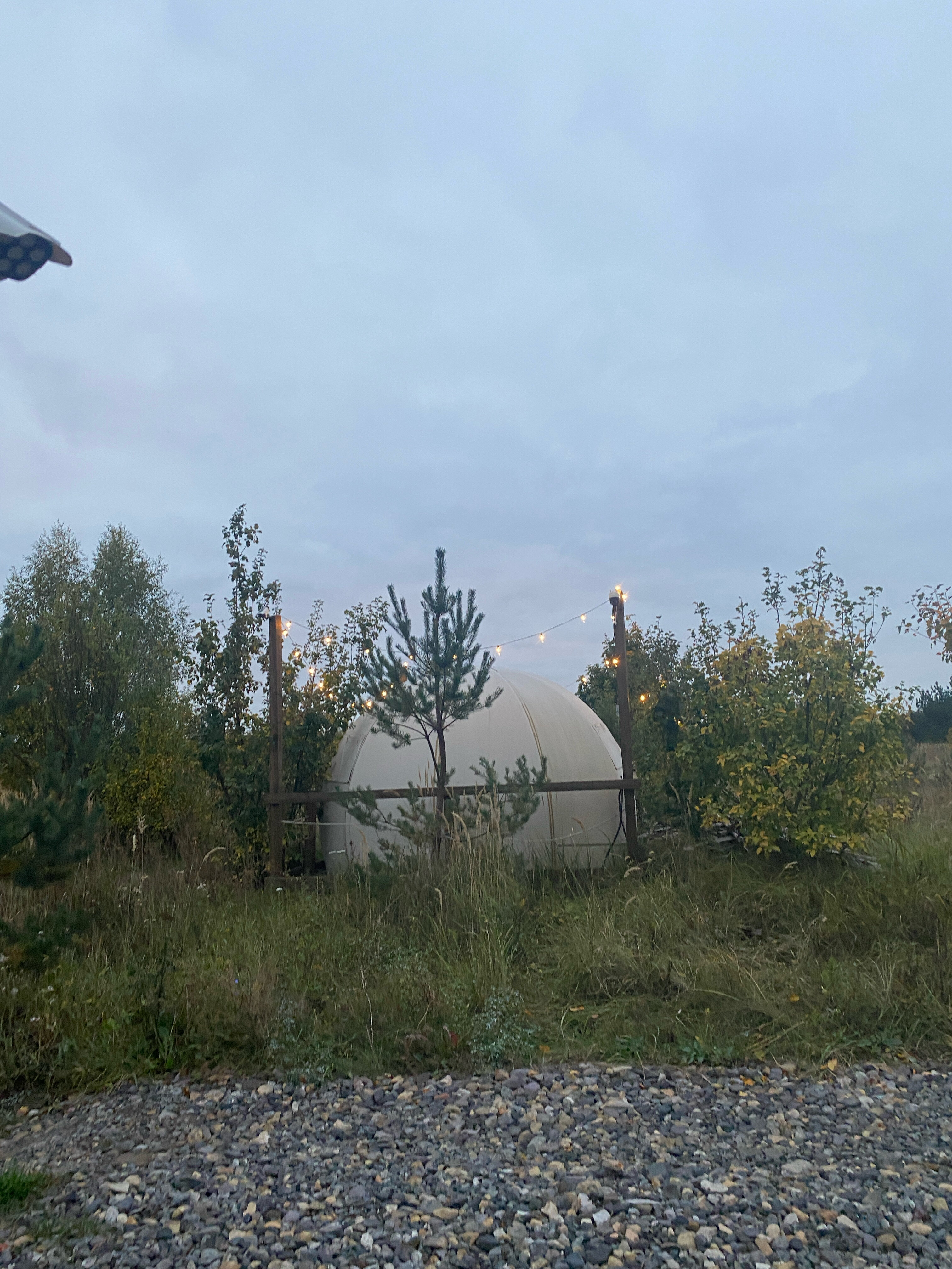 Фото Forest chan