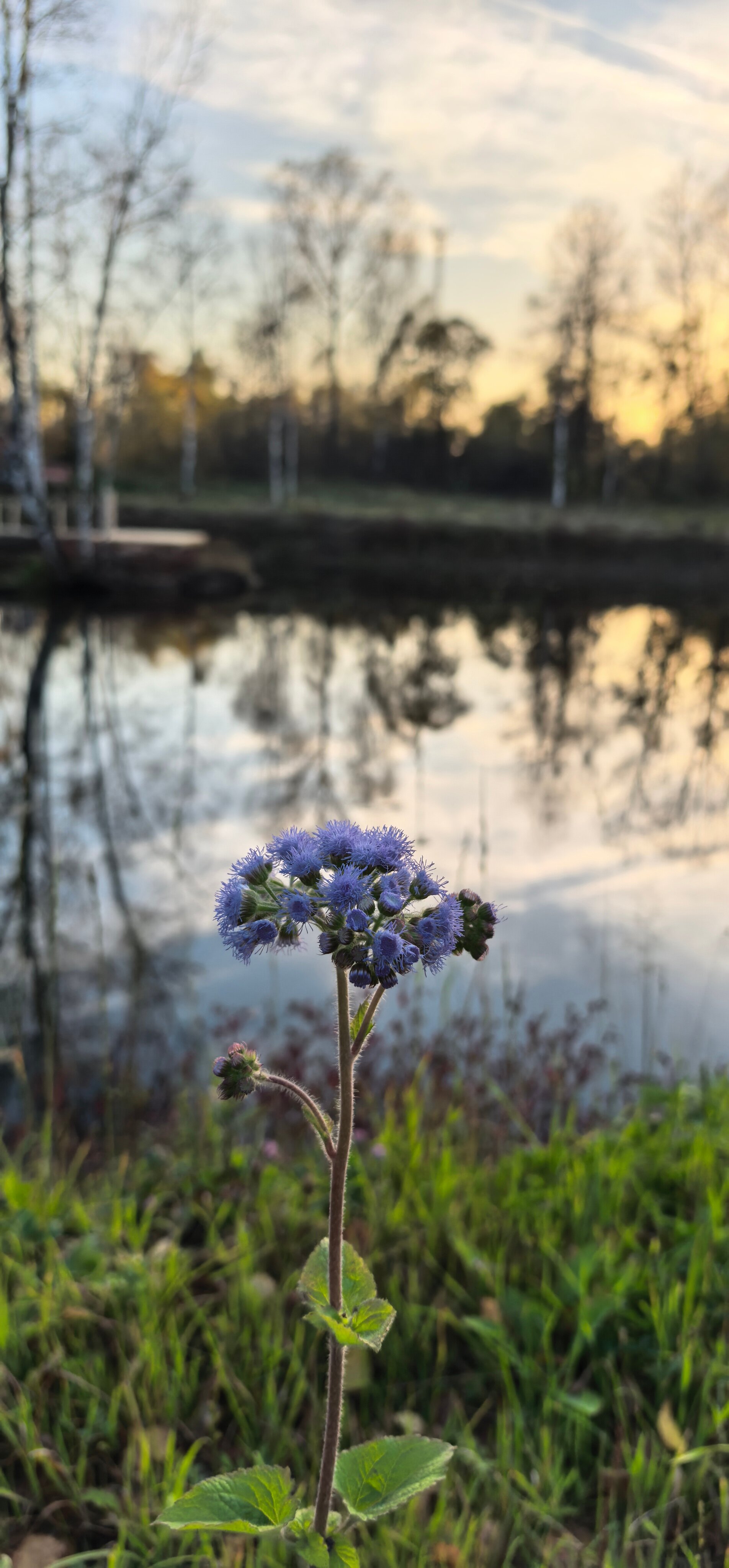 Фото Оздоровительный городок Дружба