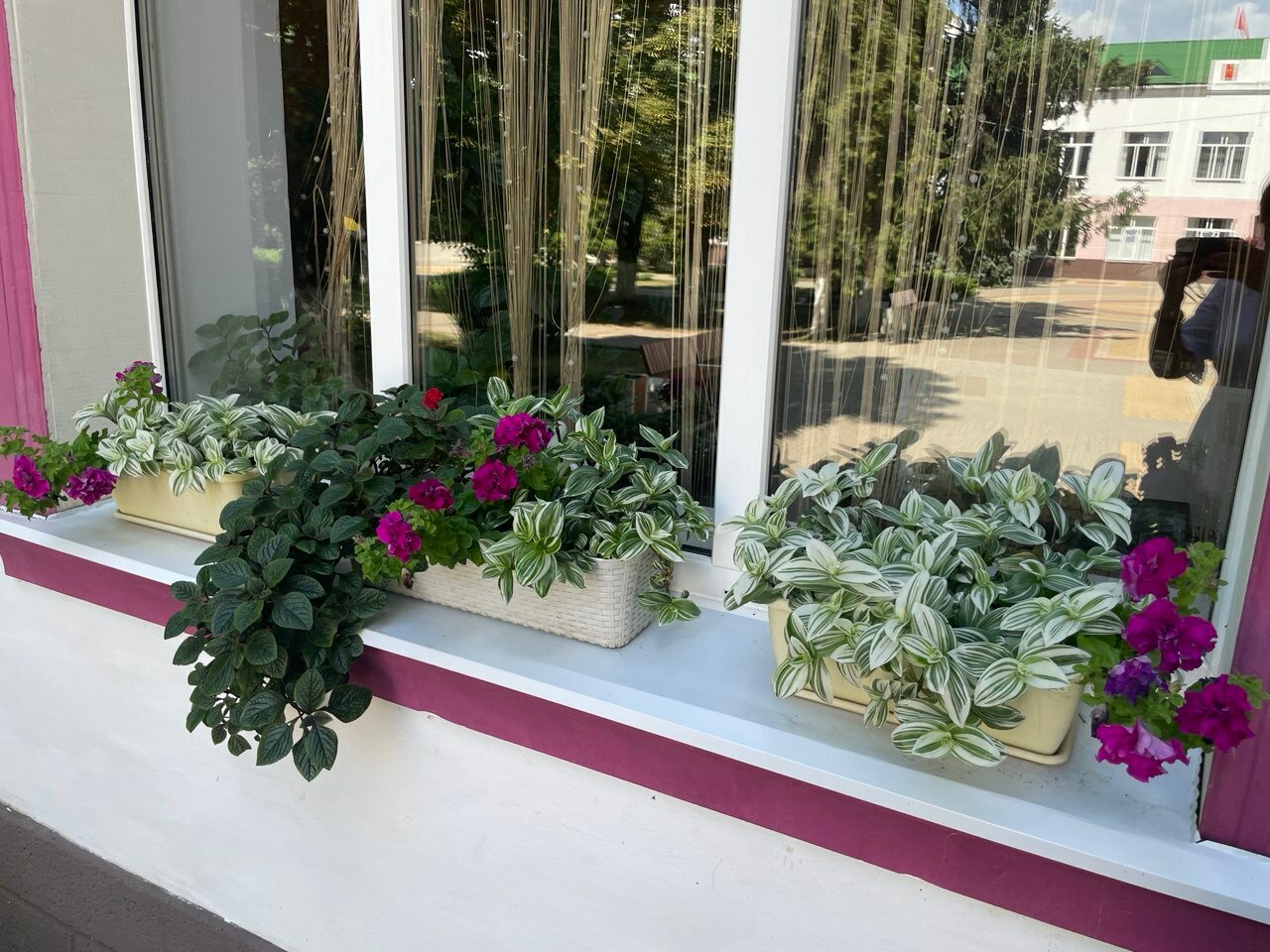 Фото Сезоны