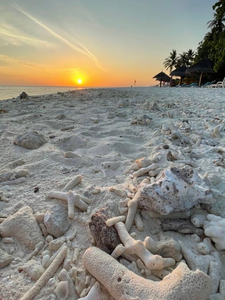 Фото Fihalhohi Maldives