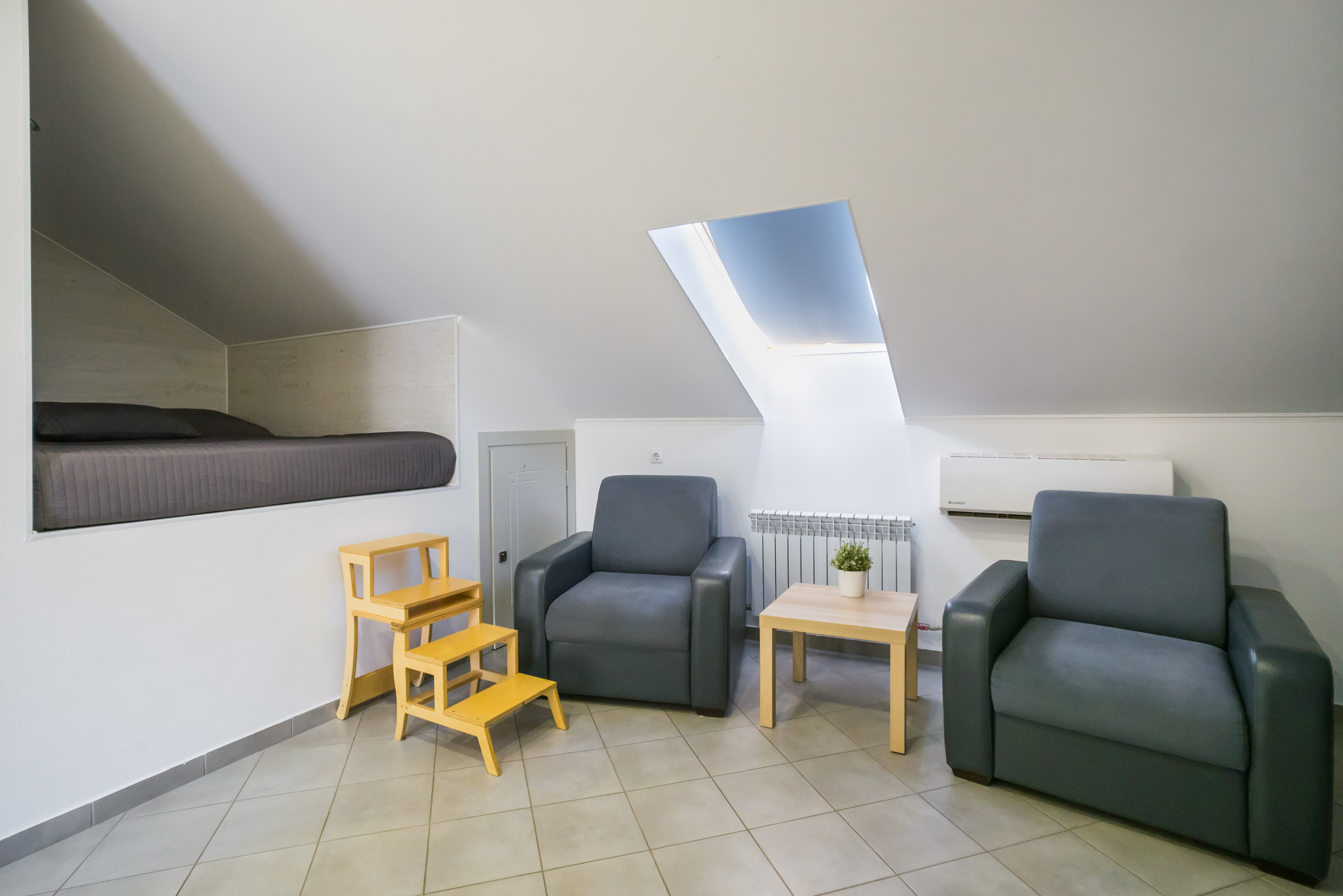 Фото Абрикос Плюс