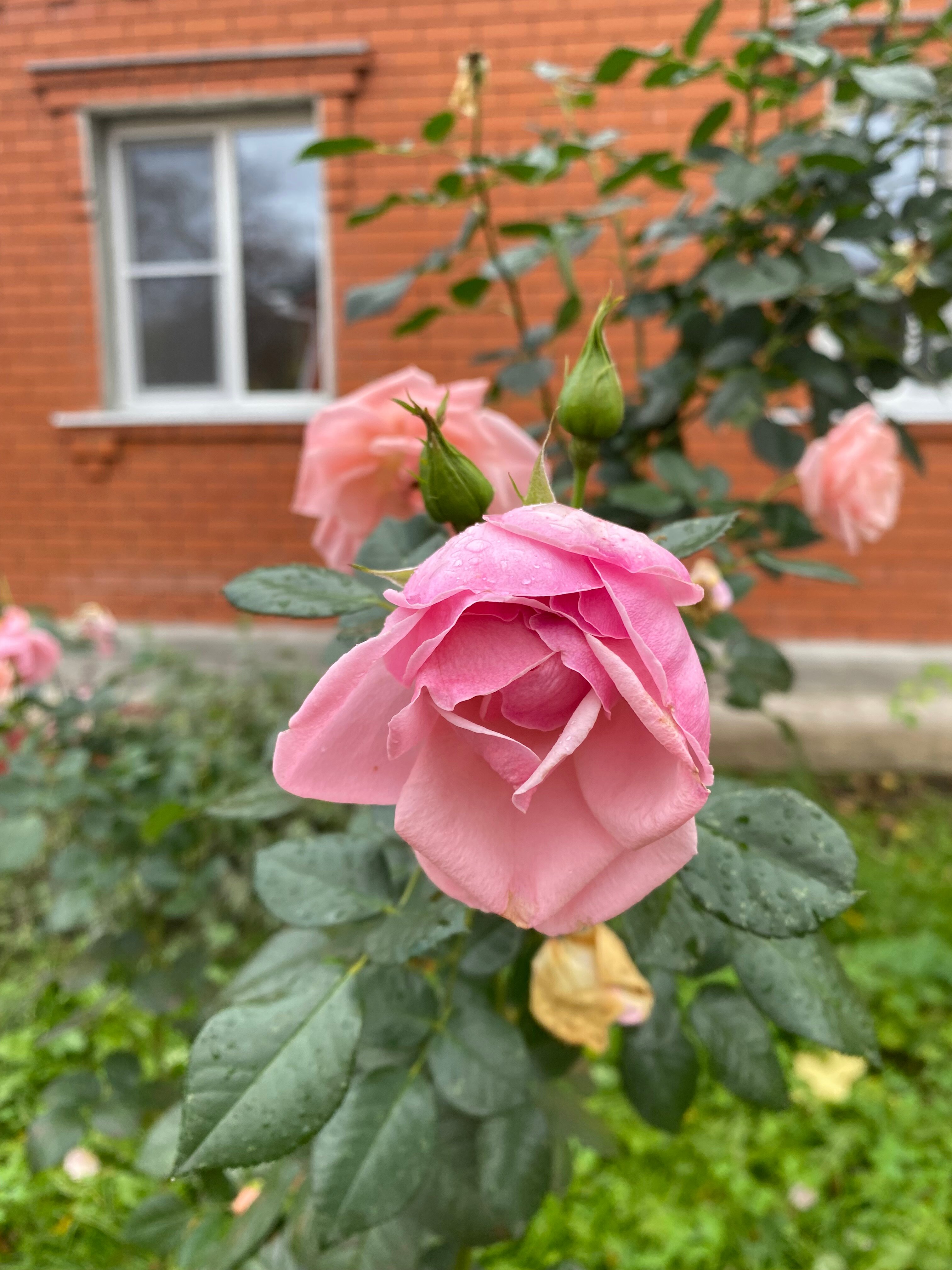 Фото Усадьба Ведрова