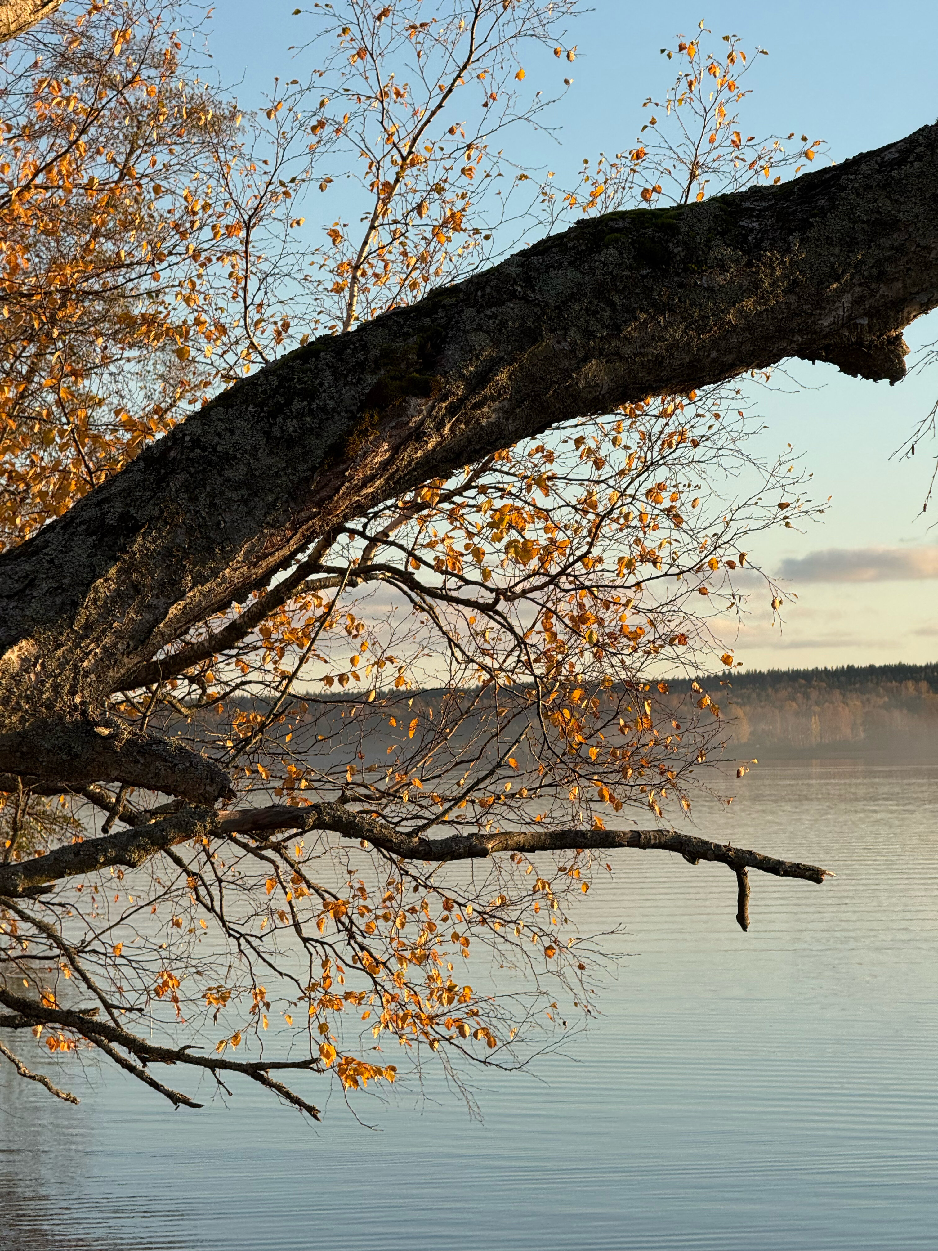 Фото Klever House Клеверная Бухта