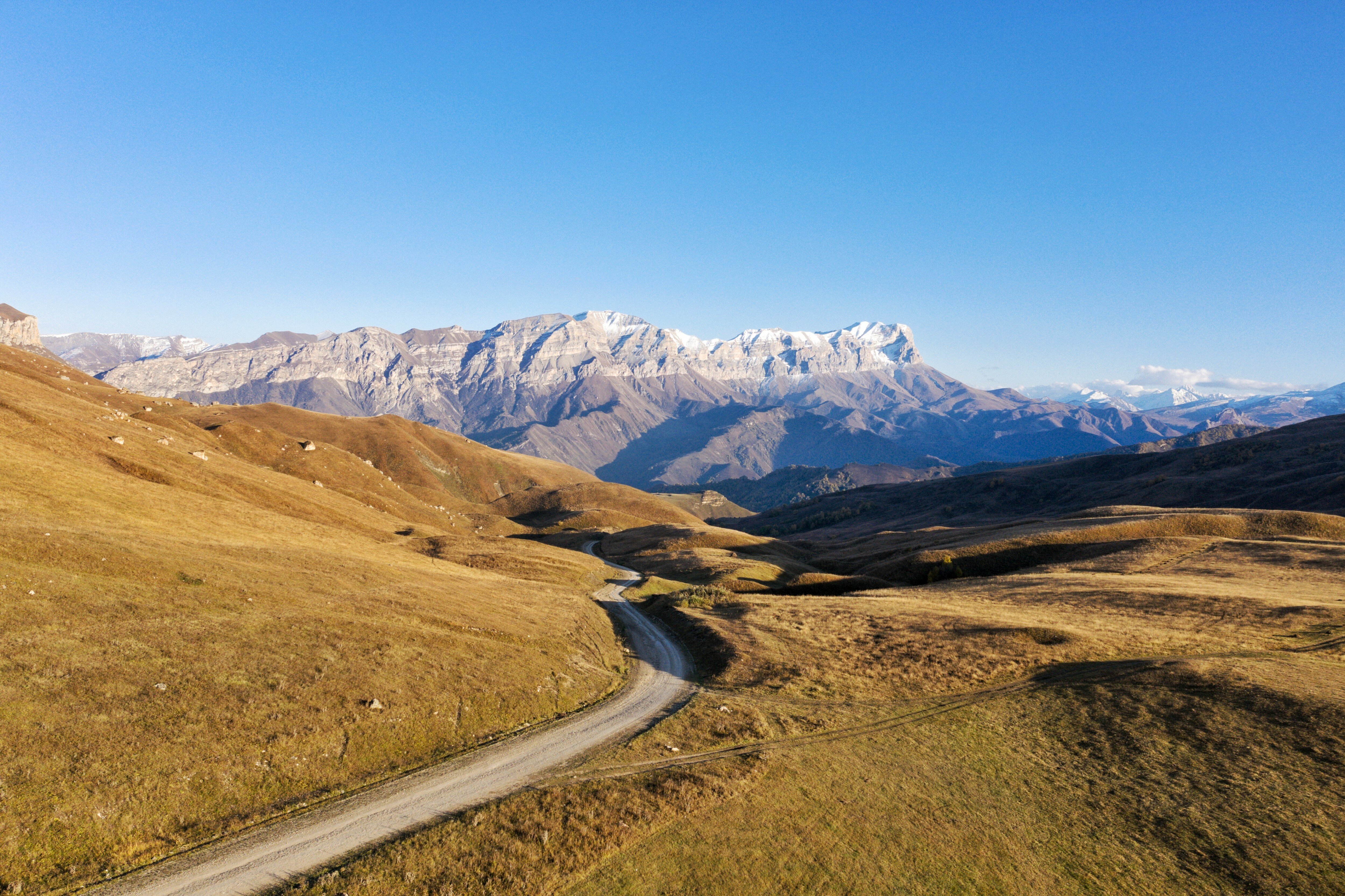 Фото Крокус