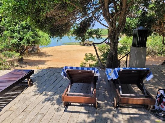 Фото Cinnamon Wild Yala