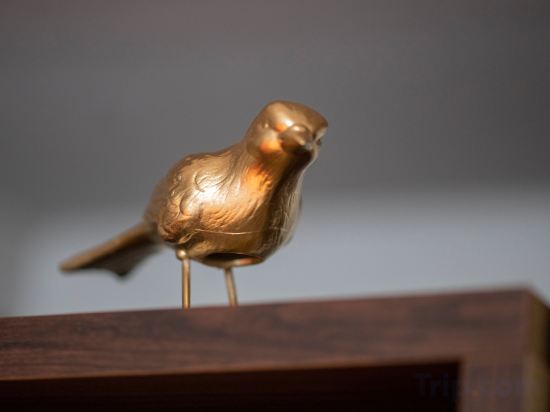 Фото Hotel Indigo Brussels - City