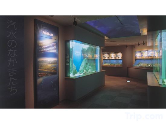 Фото Lakeside Hot Spring Hotel Kunibiki