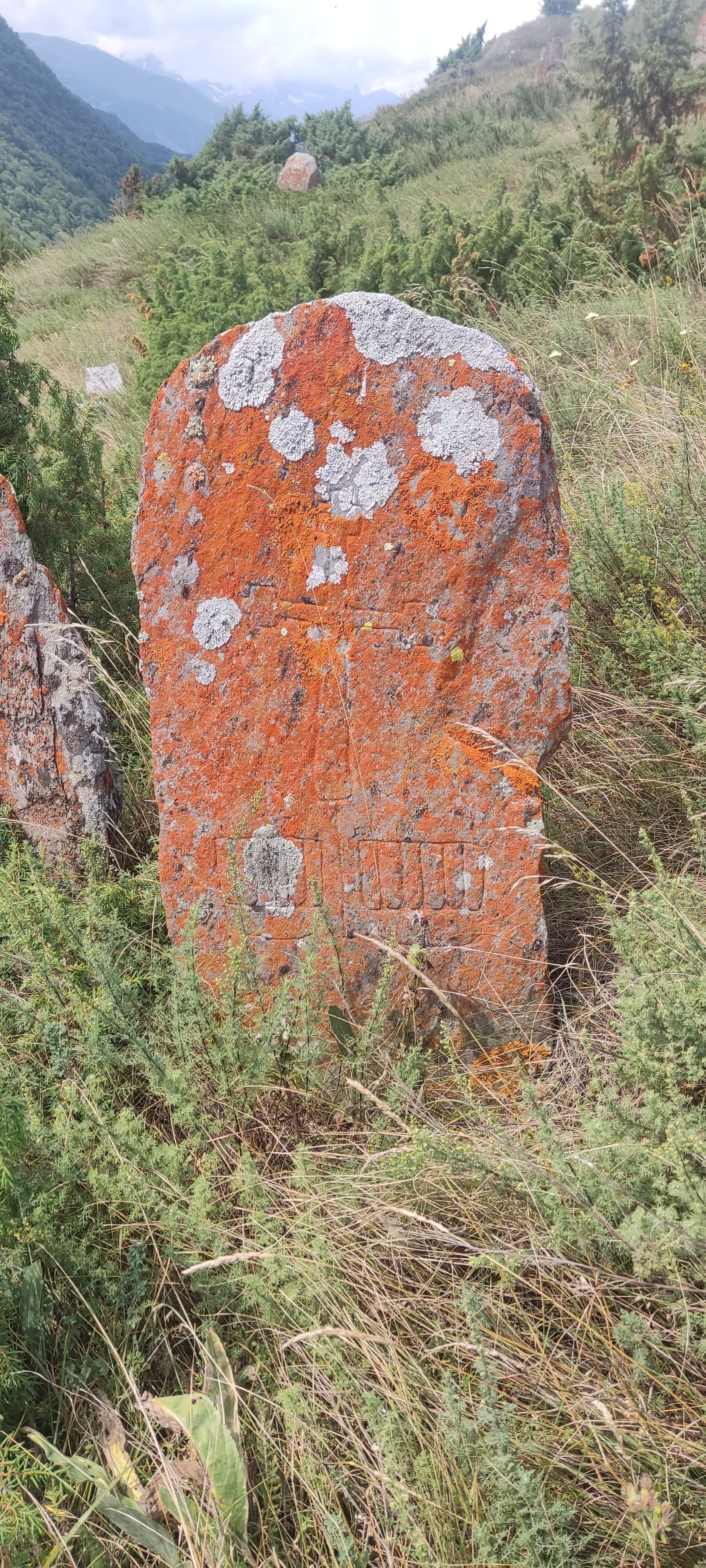 Фото Сармат