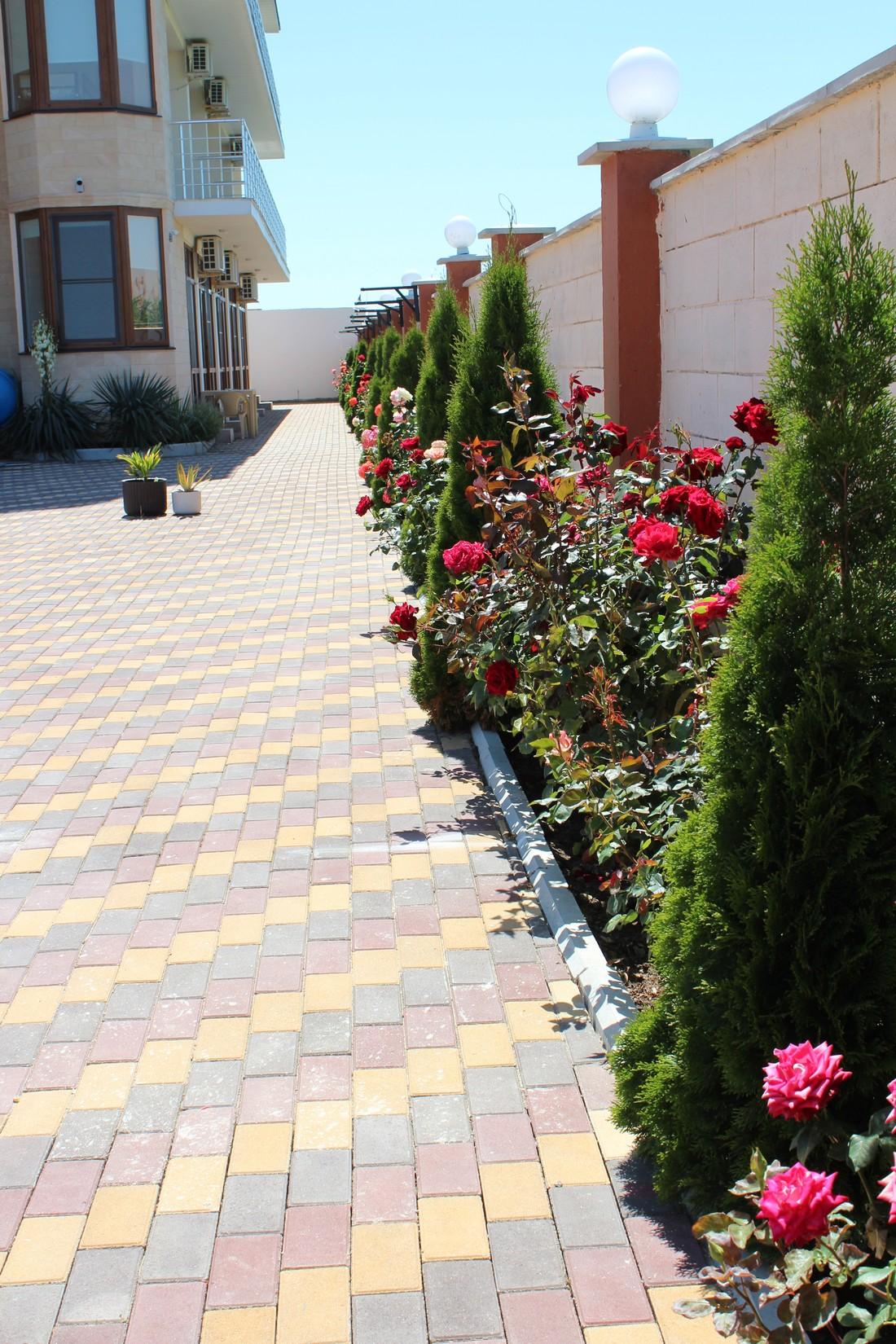 Фото Ангелина