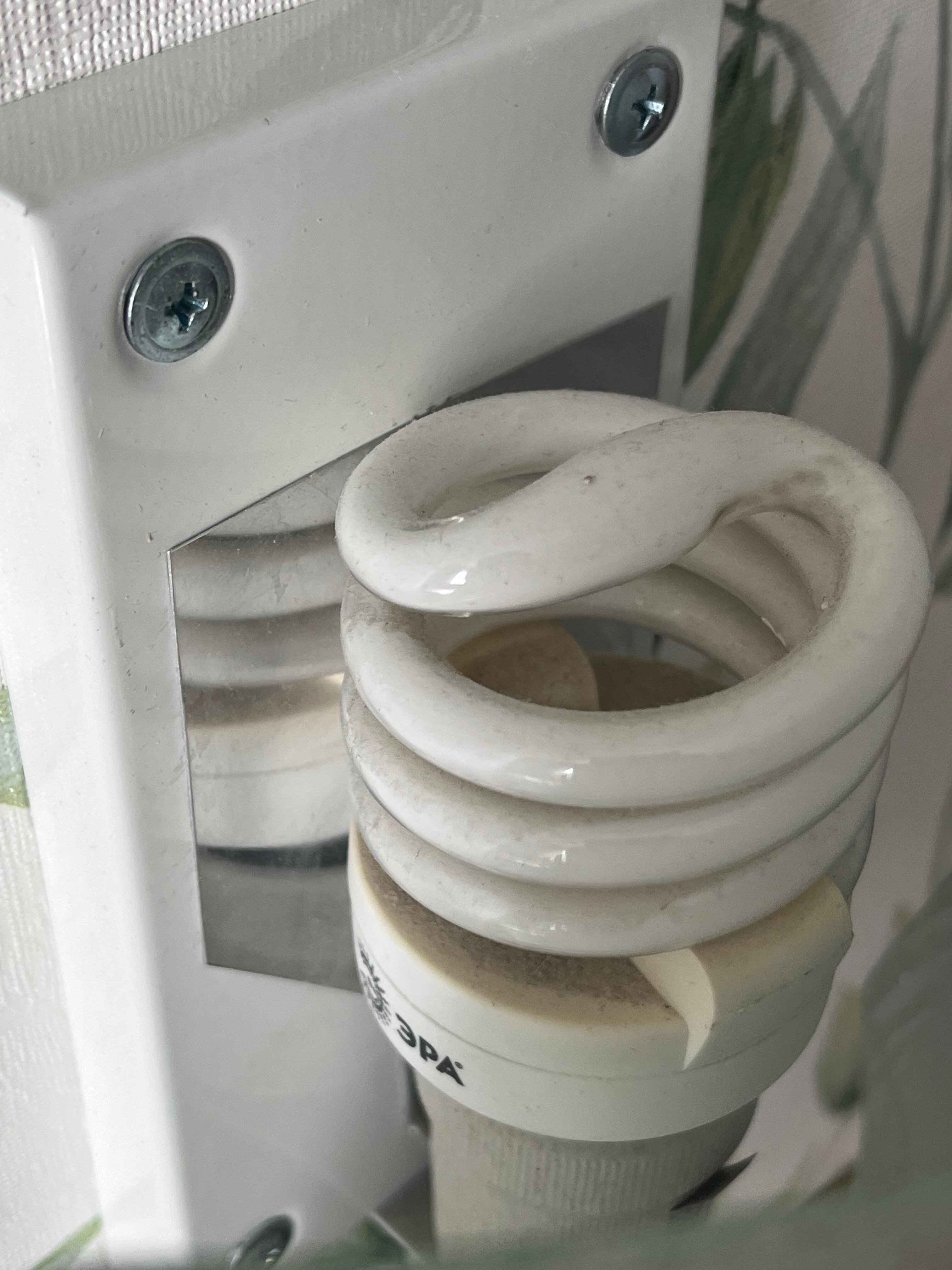 Фото Плесецкая