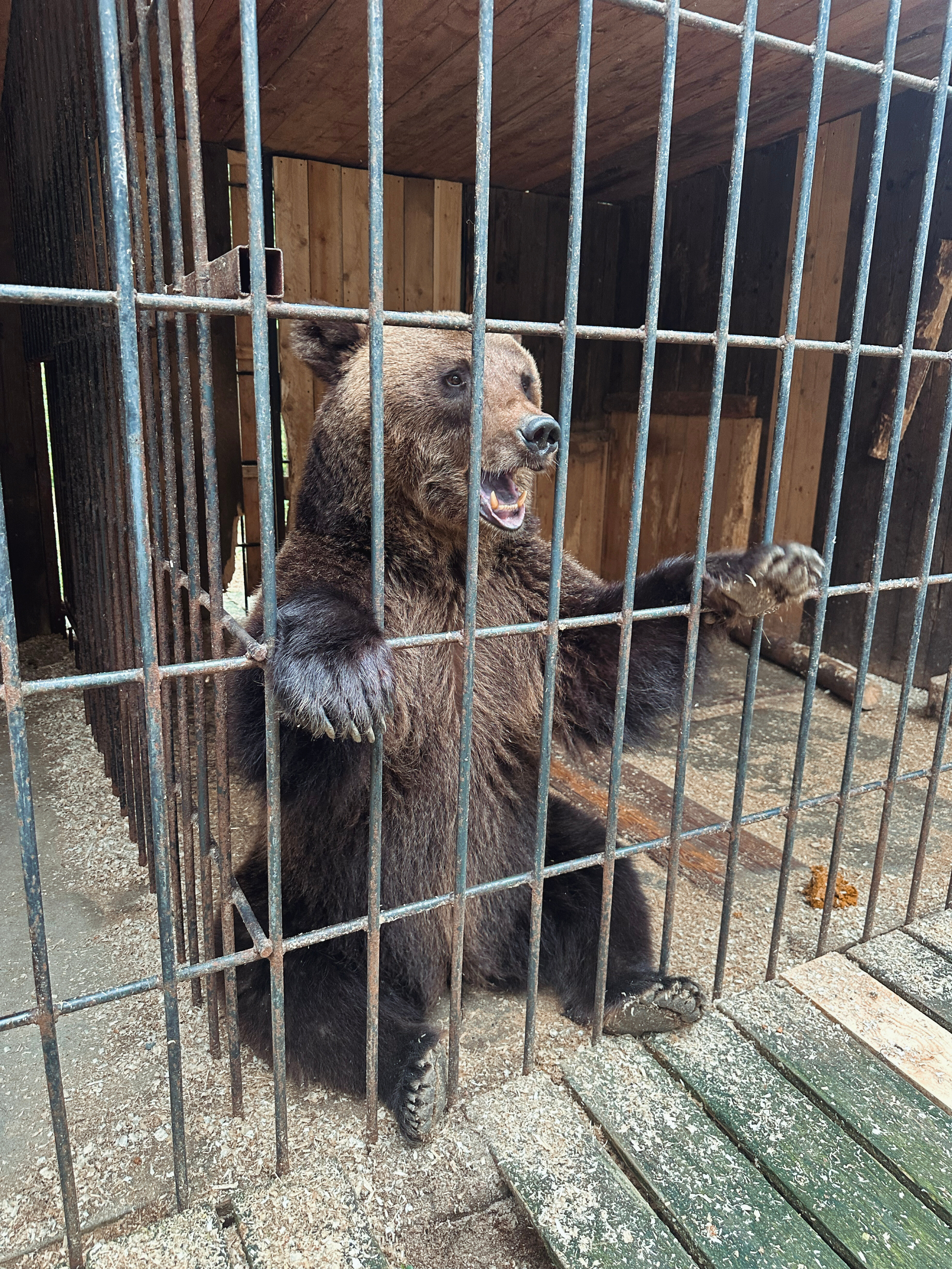 Фото Севера