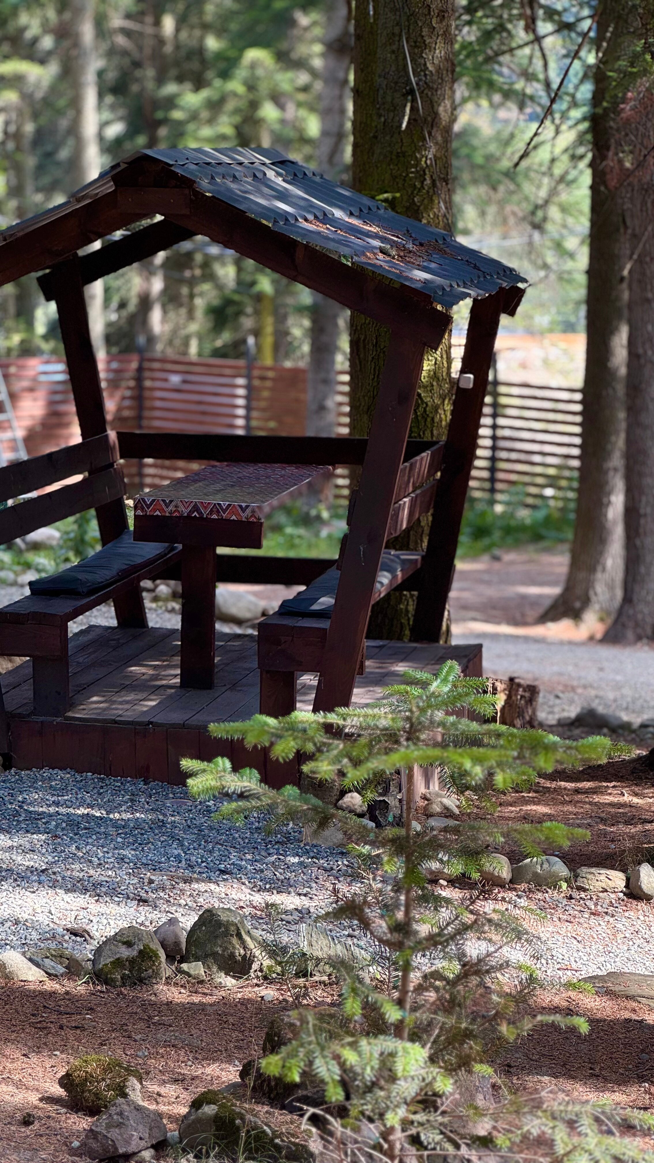 Фото Ёлки House