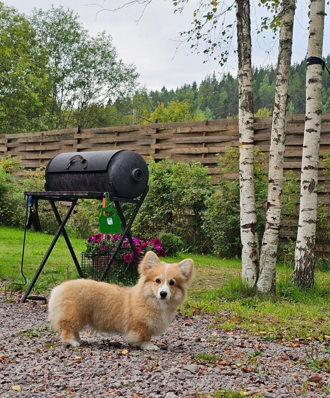 Фото Берлога люкс