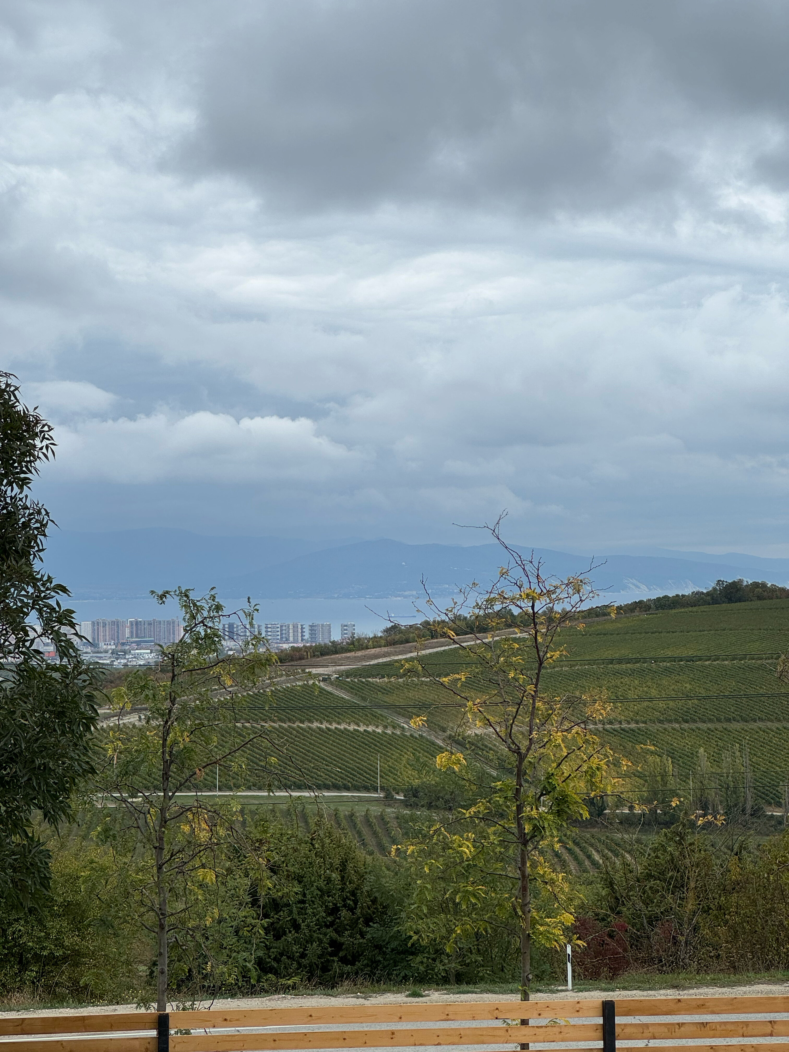 Фото ТеремШато