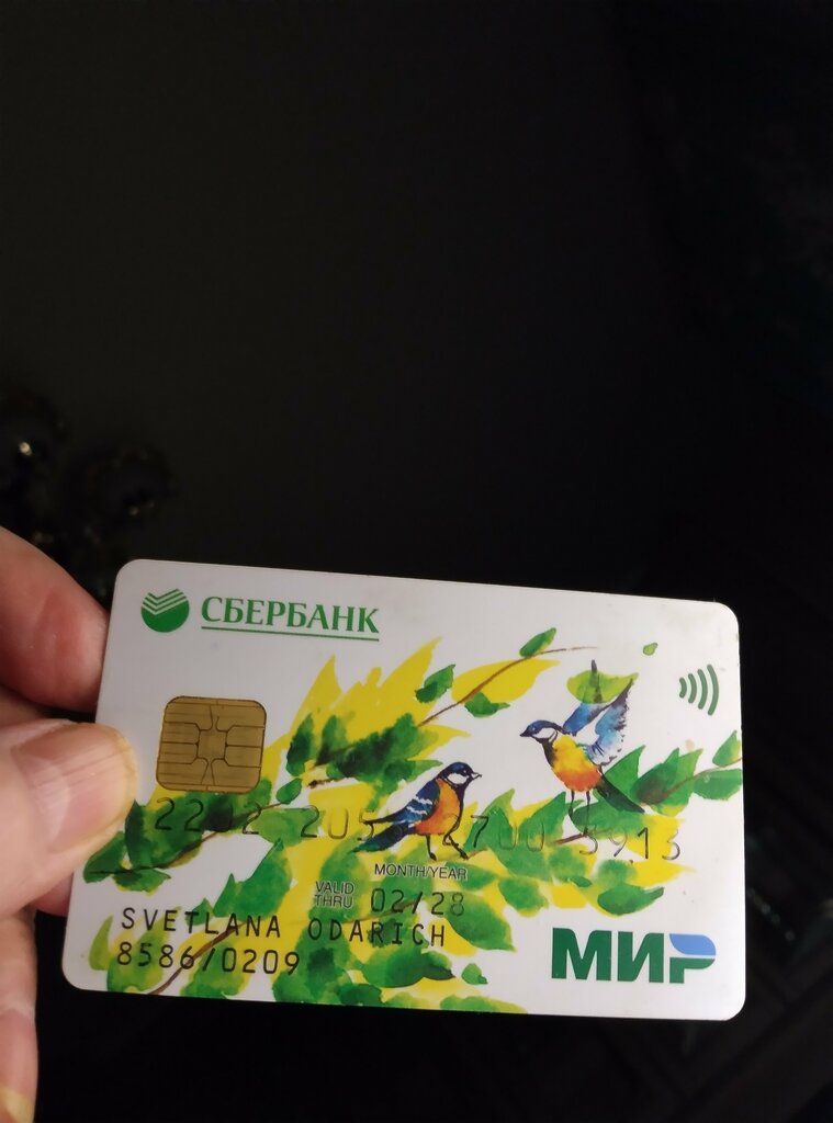 Travel agency Симиланские острова 1 день с Пхукета Авитип, Phuket Province, photo