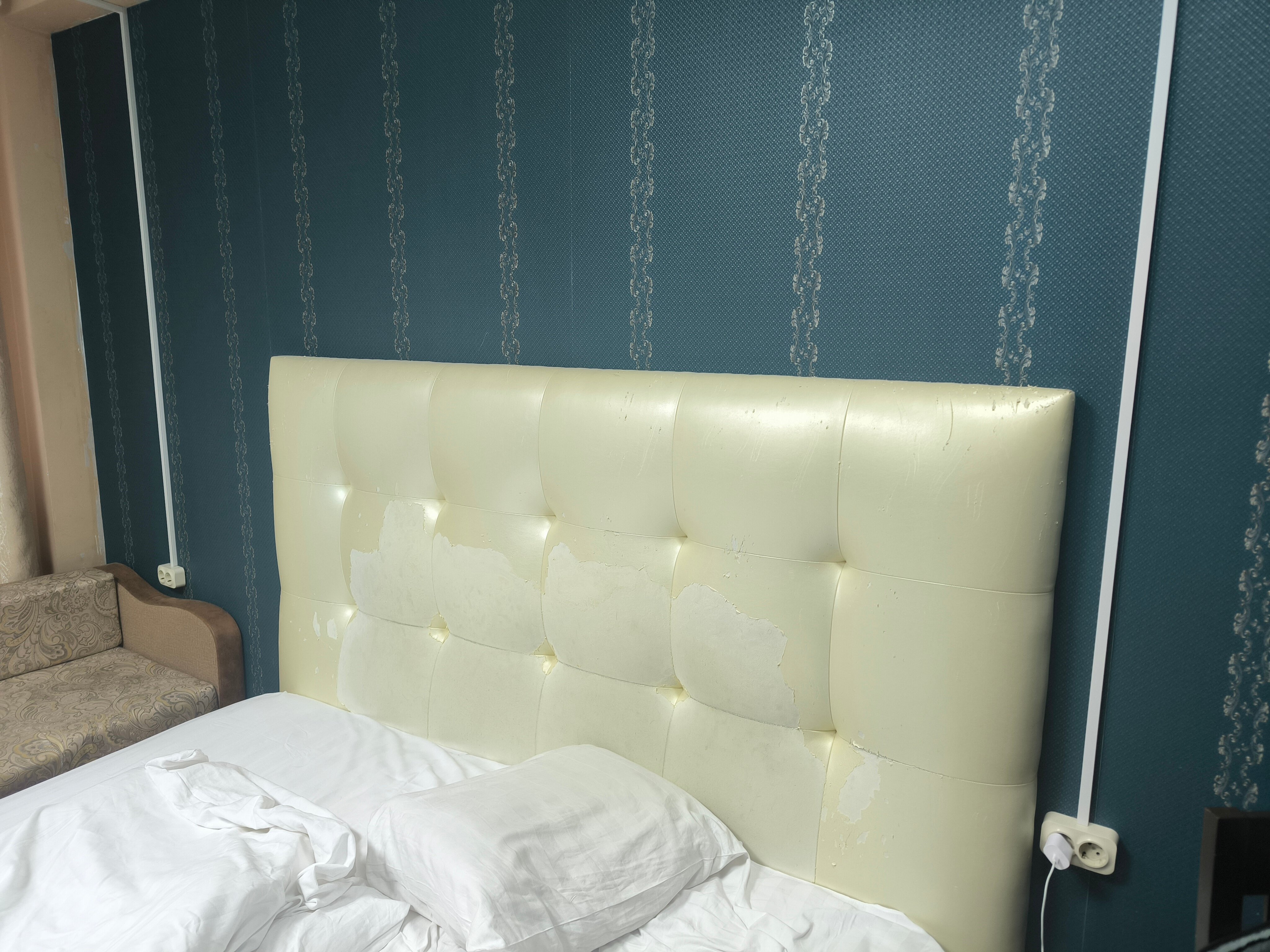 Фото Финист