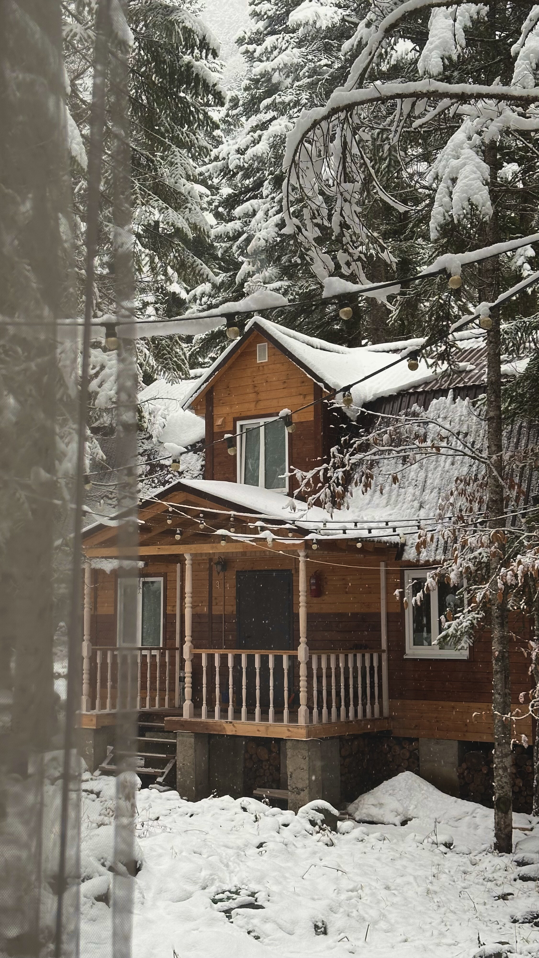 Фото Времена Года