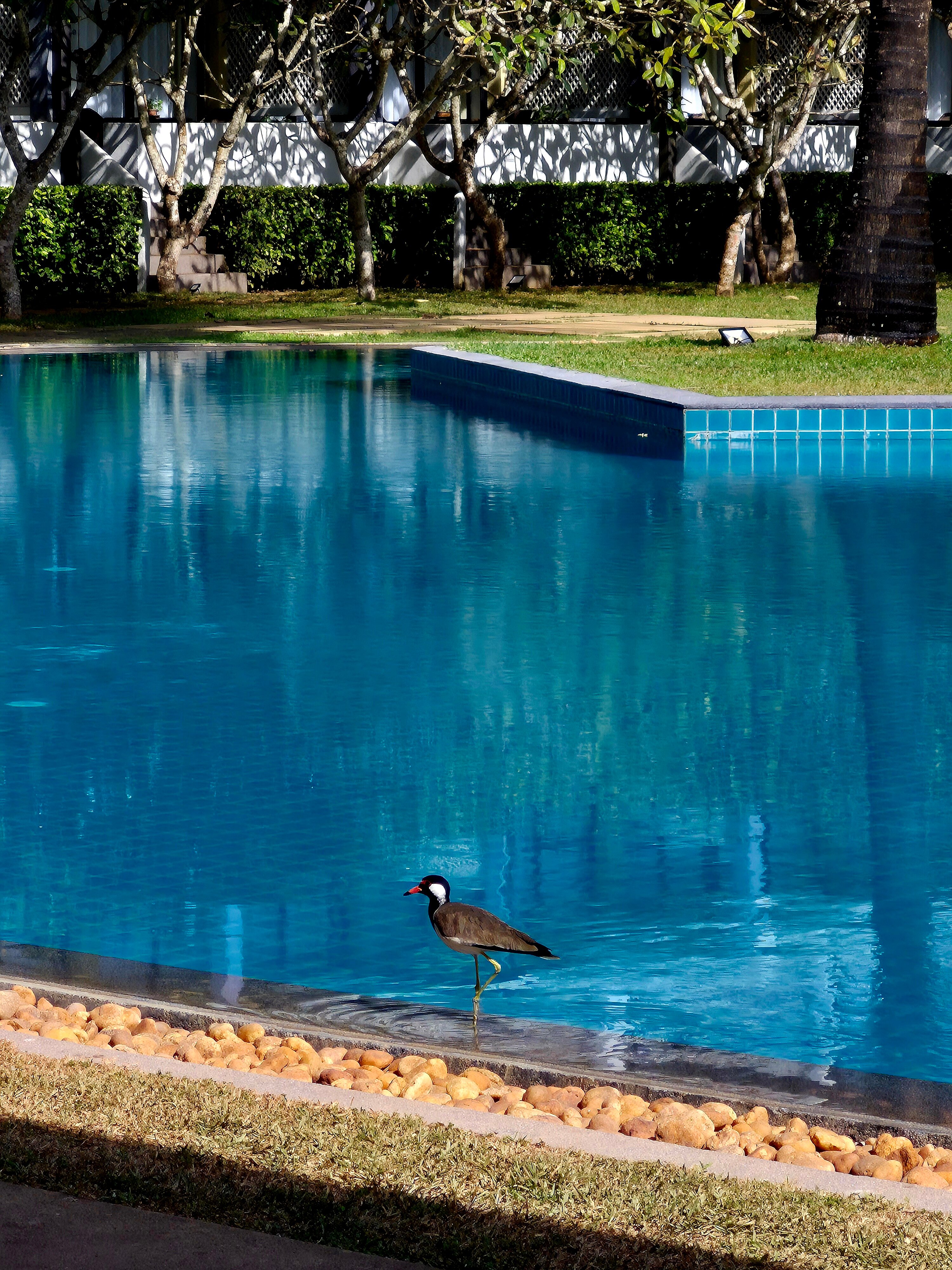 Фото The Blue Water