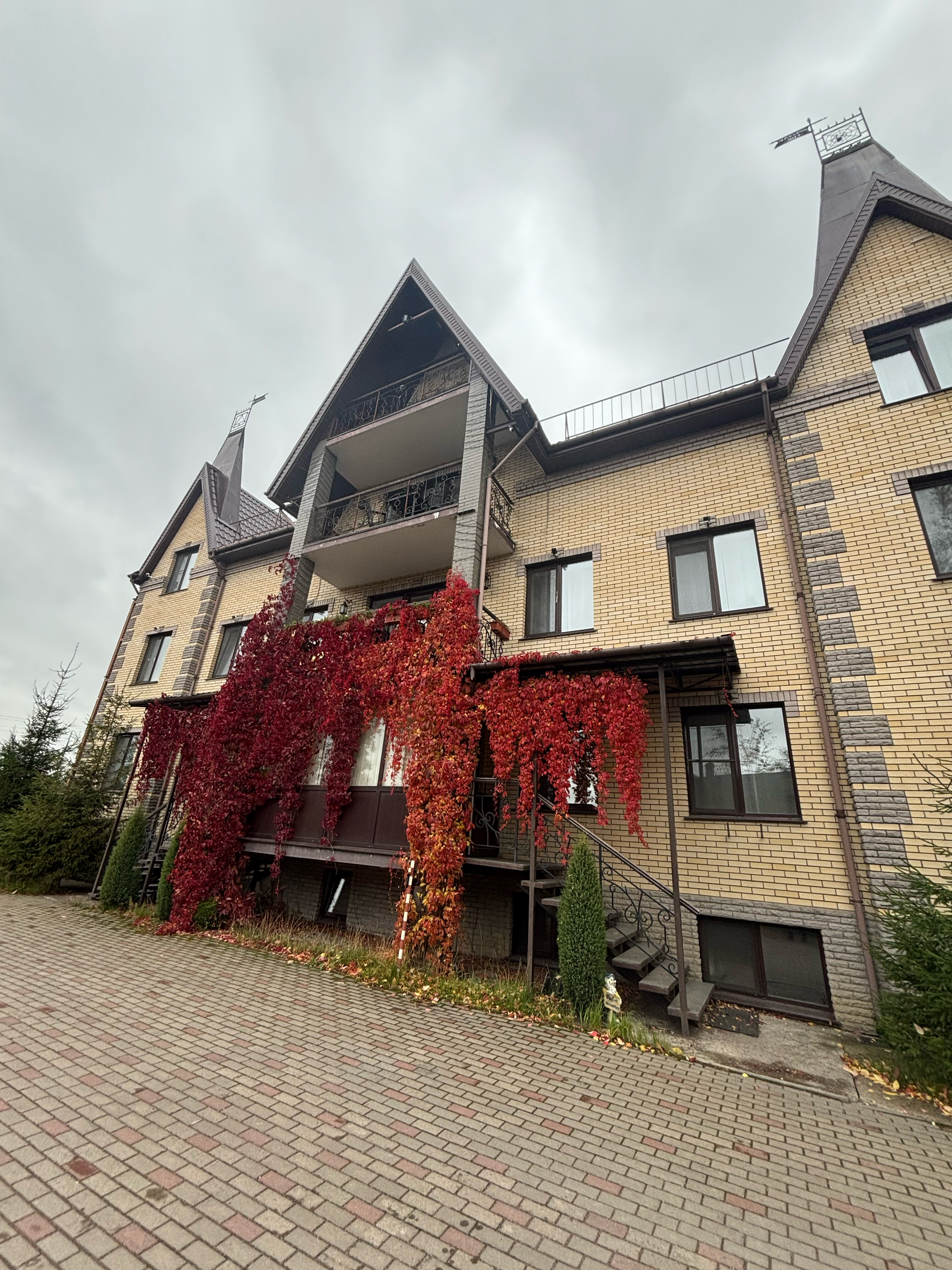 Фото Флогистон