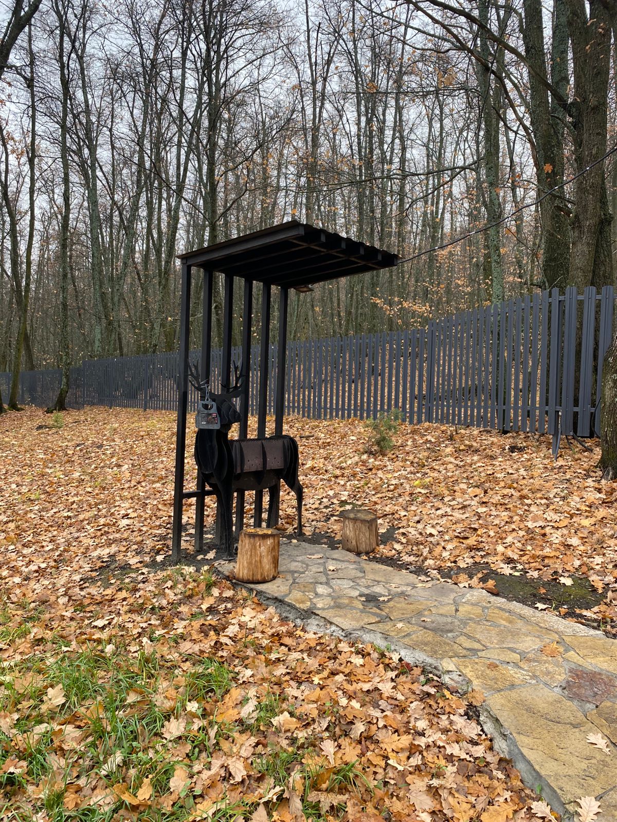 Фото В Лес Афрейм