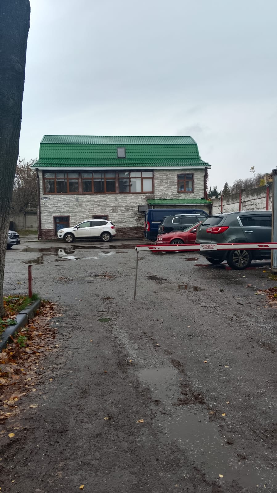 Фото Тревел